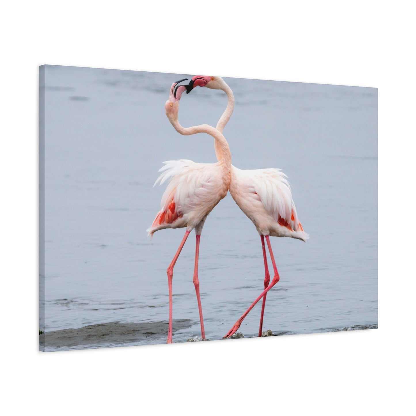 Pink Flamingo Love Wall Art & Canvas Prints