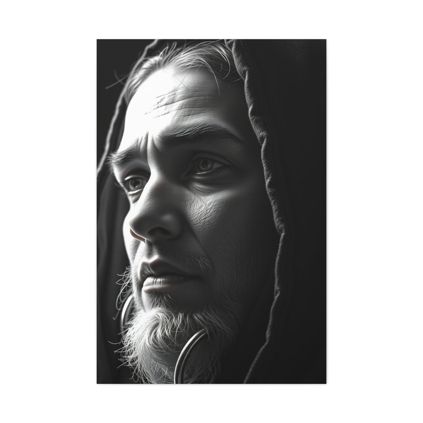 Exquisite Shade Canvas Wall Art & Canvas Print