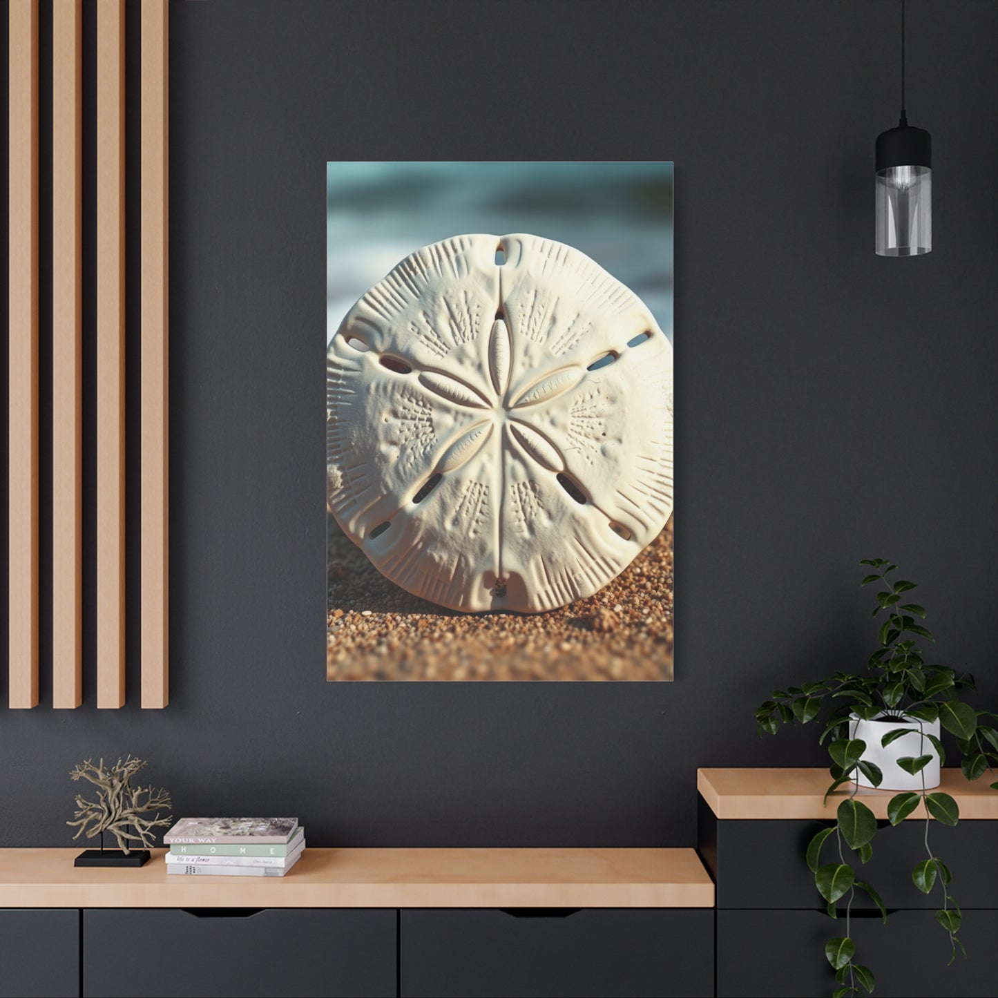 Supreme Sand Dollar Art Collection Wall Art & Canvas Print