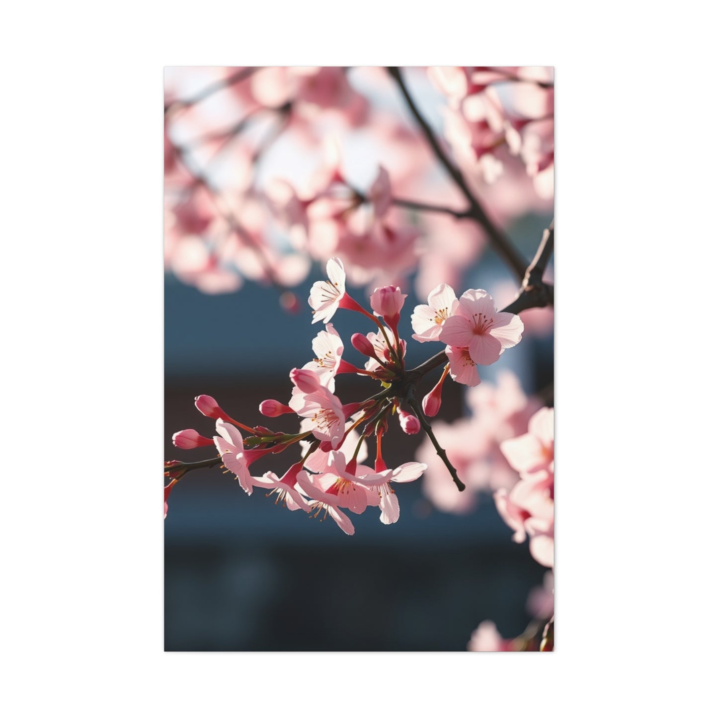 Serenade of Blossoms Art