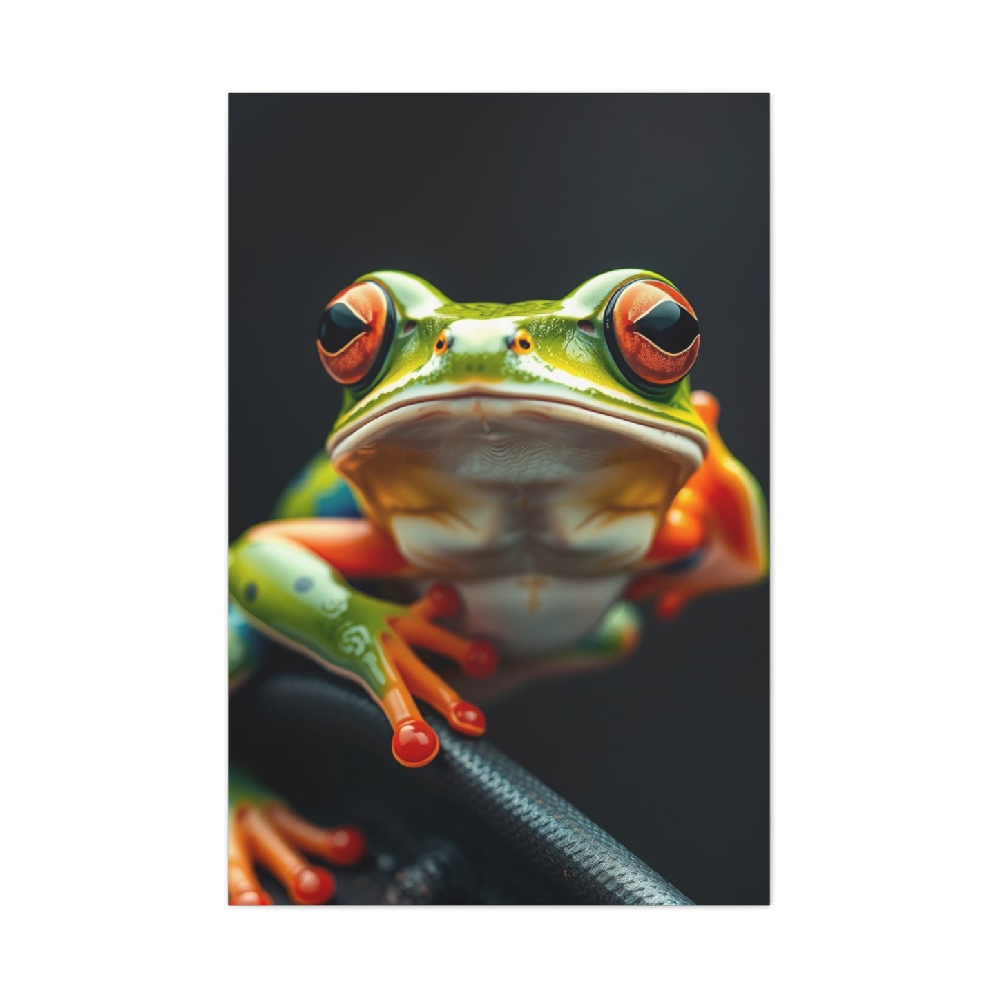 Vision Frog Art Art Wall Art & Canvas Print