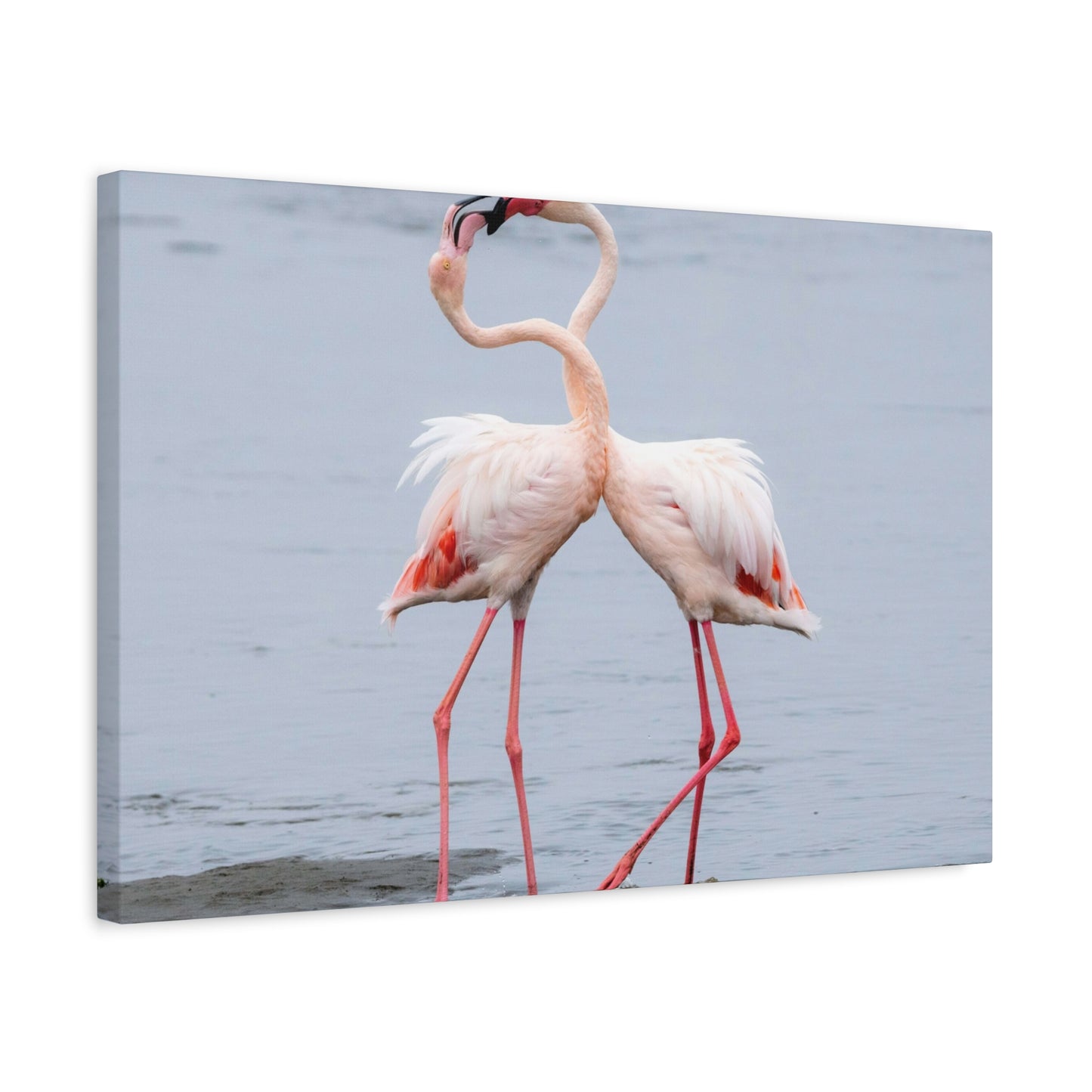 Pink Flamingo Love Wall Art & Canvas Prints