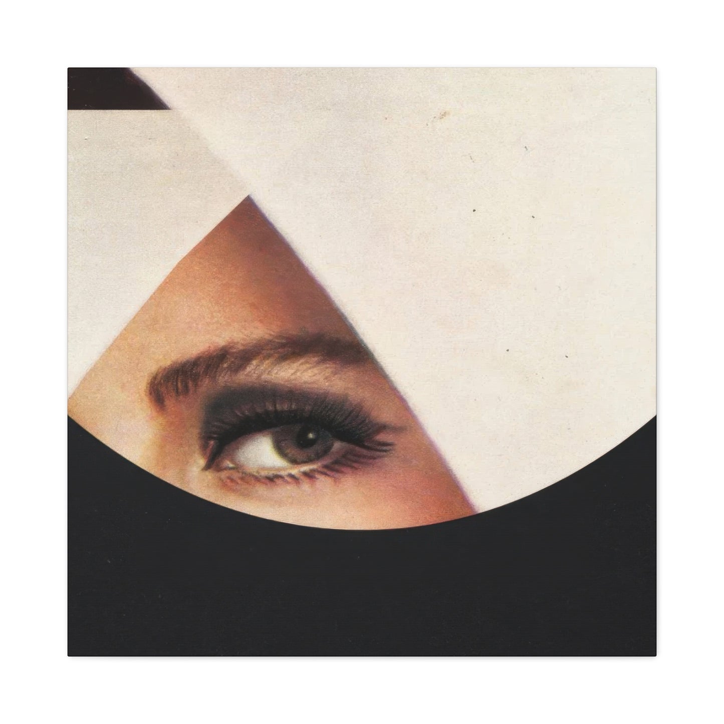 Frank Moth Mind Gazing Wall Art & Canvas Prints