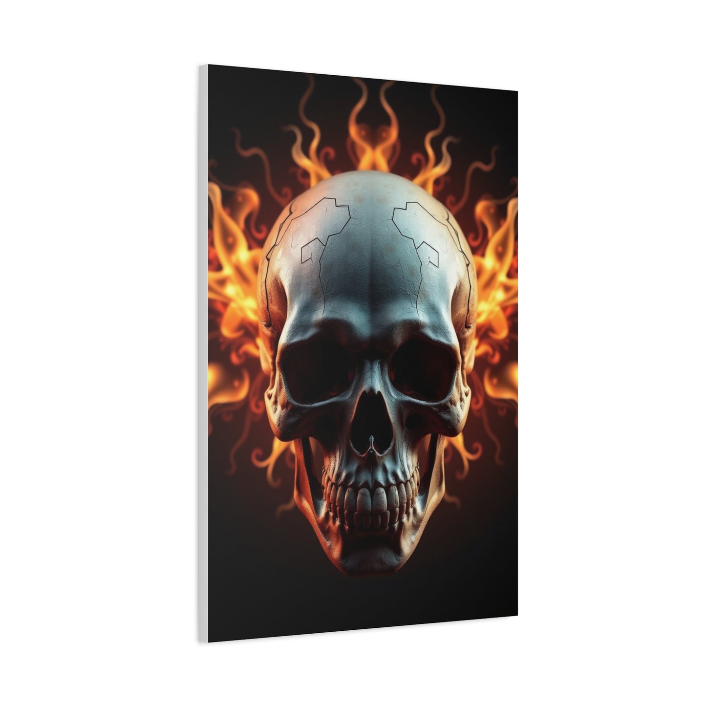 Exquisite Crania Display Wall Art & Canvas Print