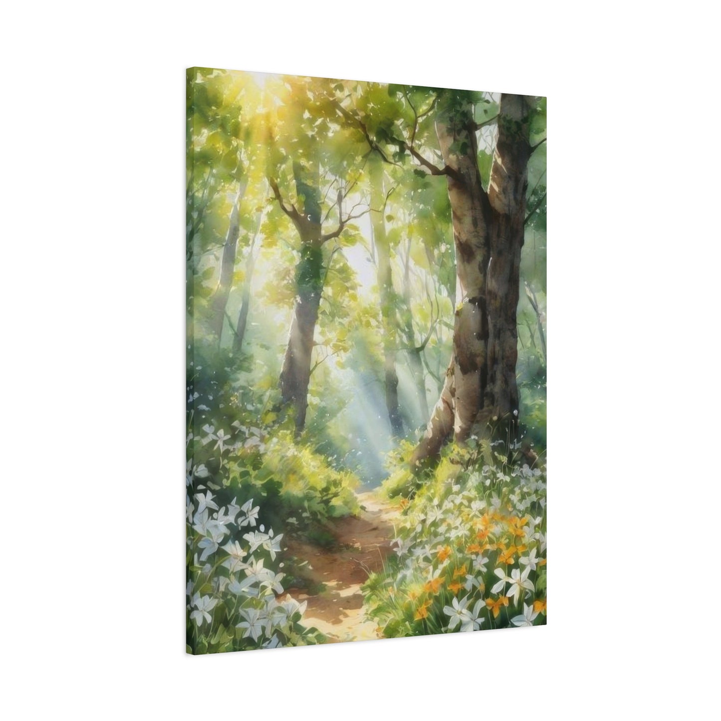 Forest Path Lit Wall Art & Canvas Prints