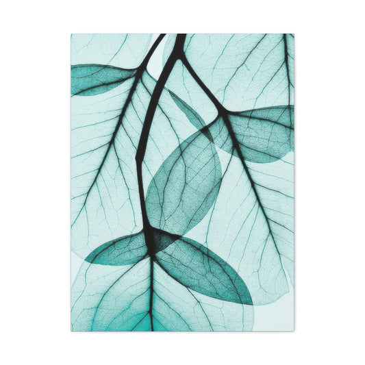 Eucalyptus Leaves Wall Art & Canvas Prints