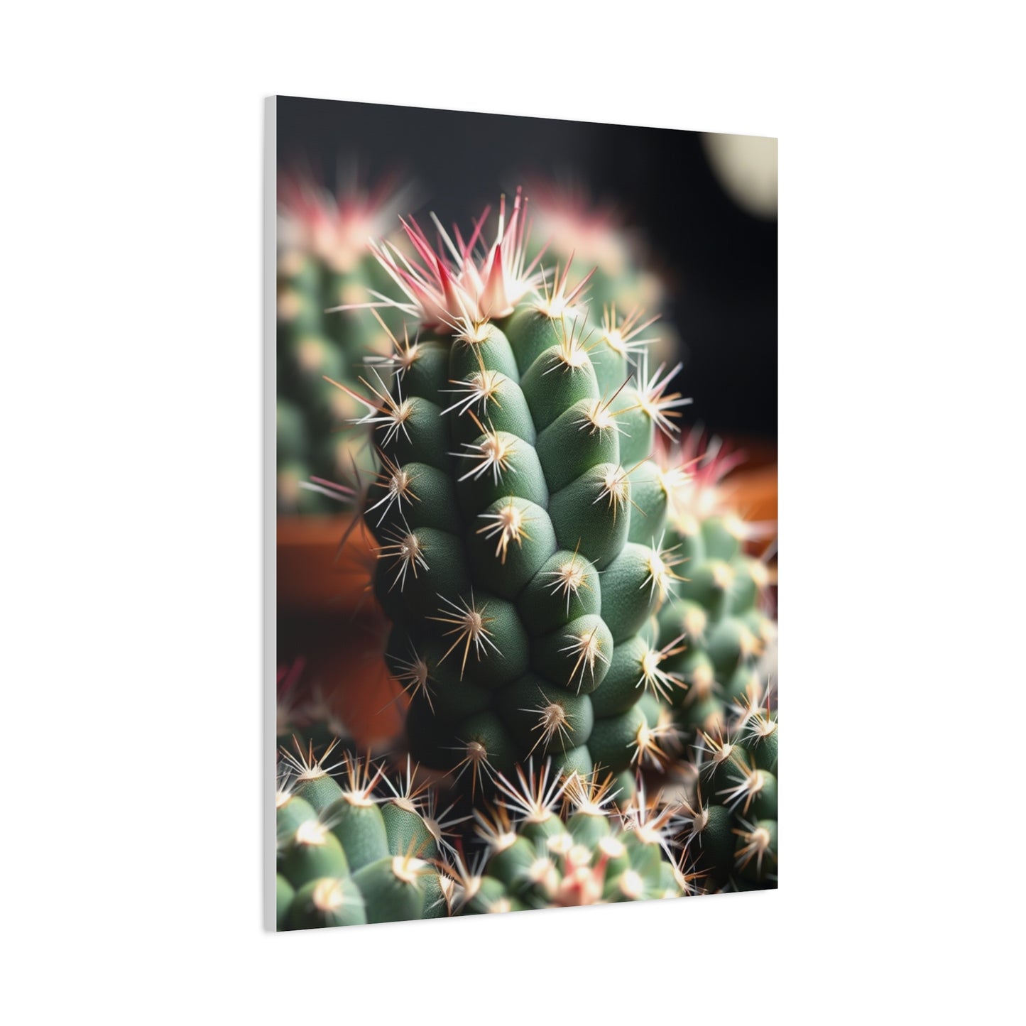 Desert Opulence Canvas Wall Art & Canvas Print