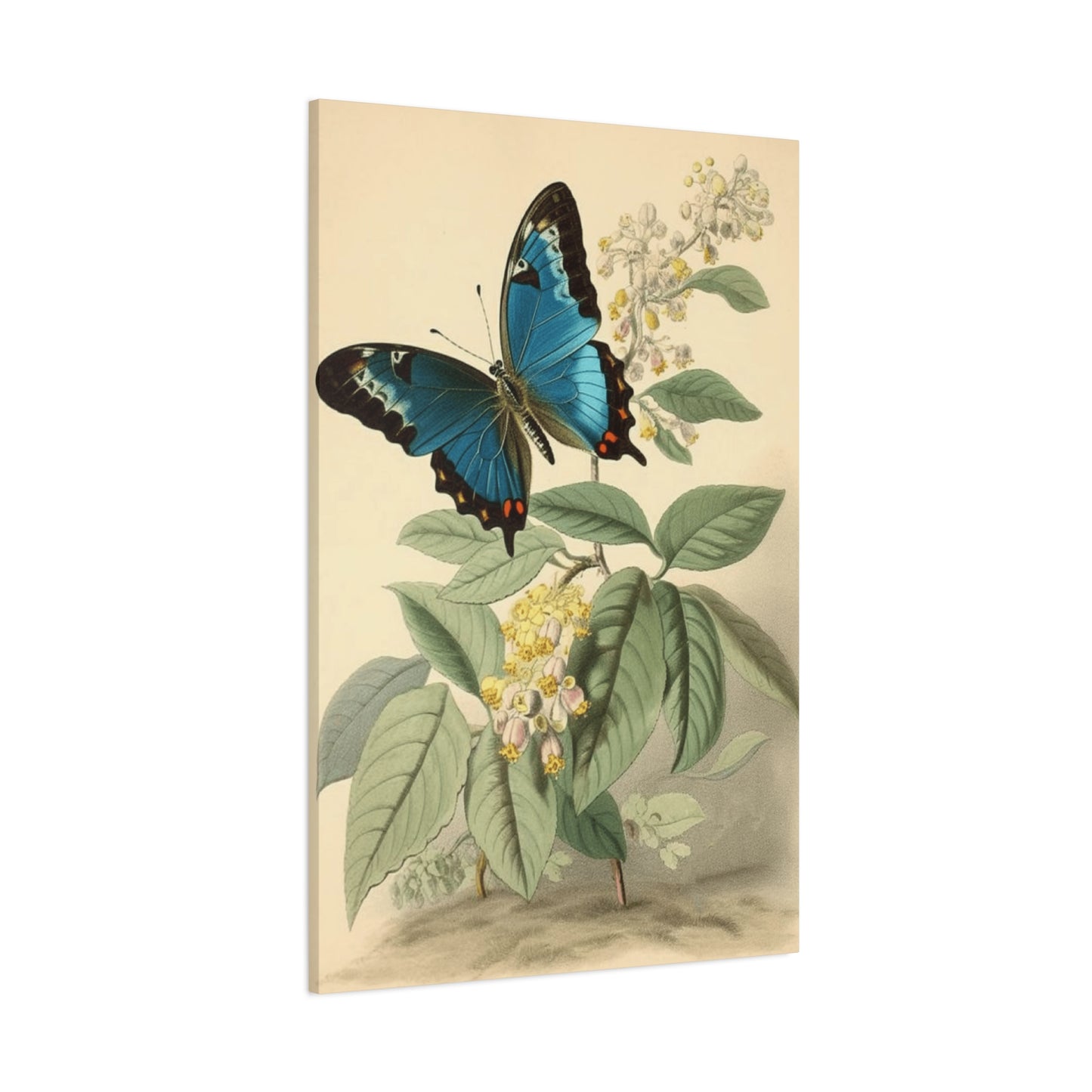 Butterfly on Brown Background Wall Art & Canvas Prints