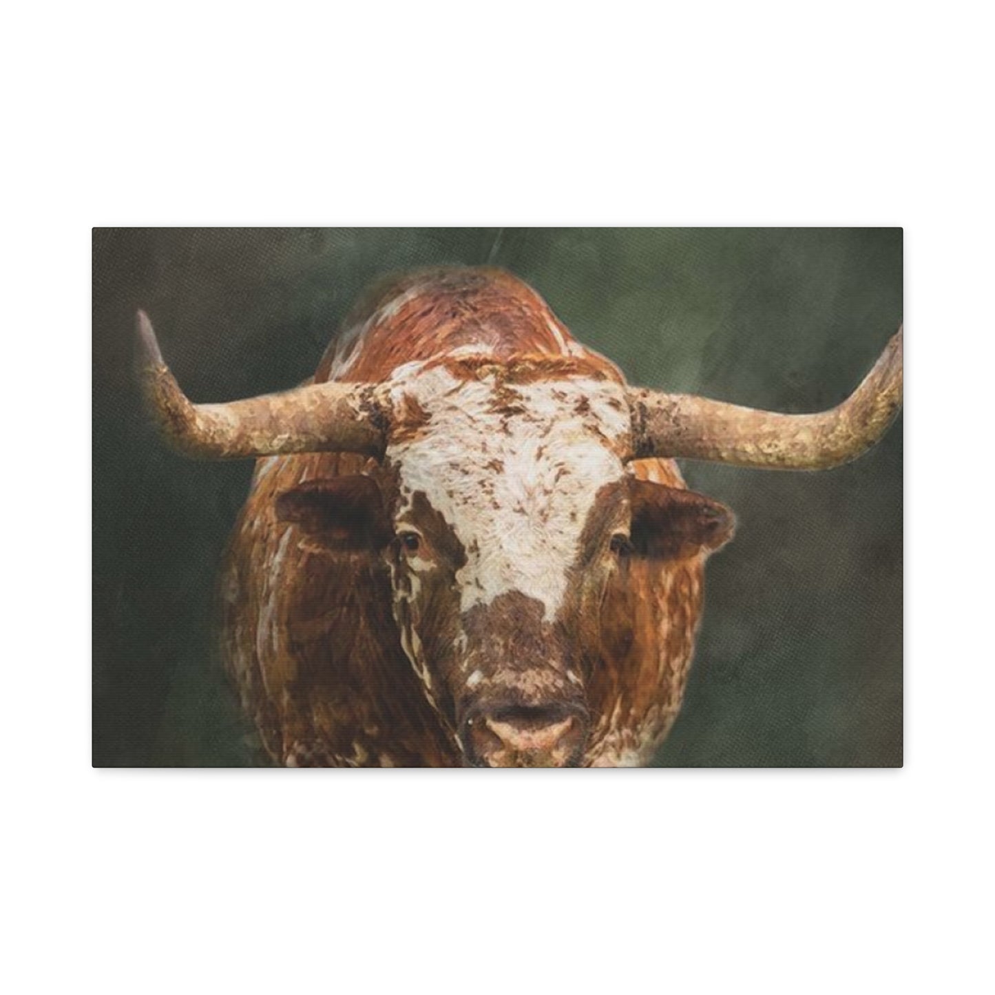 Old Hairy Bull Long Horns Wall Art & Canvas Prints