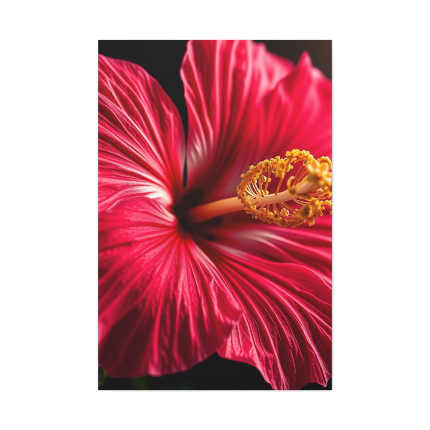 Hibiscus Flower Art Luxury Canvas Wall Art & Canvas Print