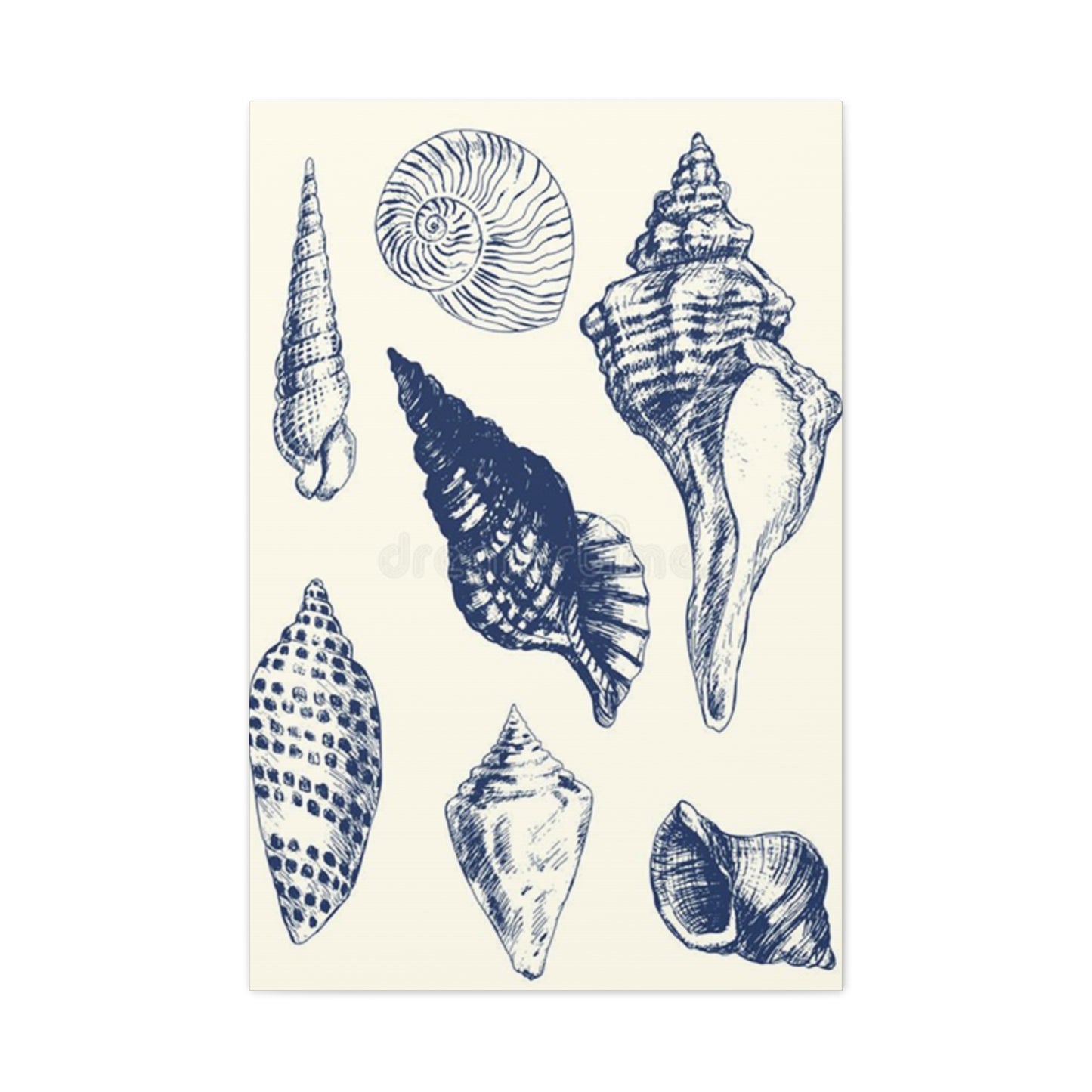 Blue Different Shell Shapes Drawing Wall Art & Canvas Prints