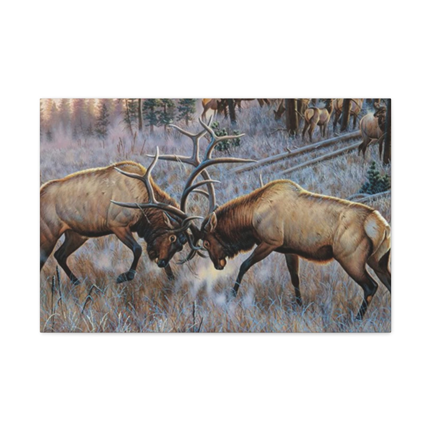 Reindeer Fighting Painting Wall Art & Canvas Prints