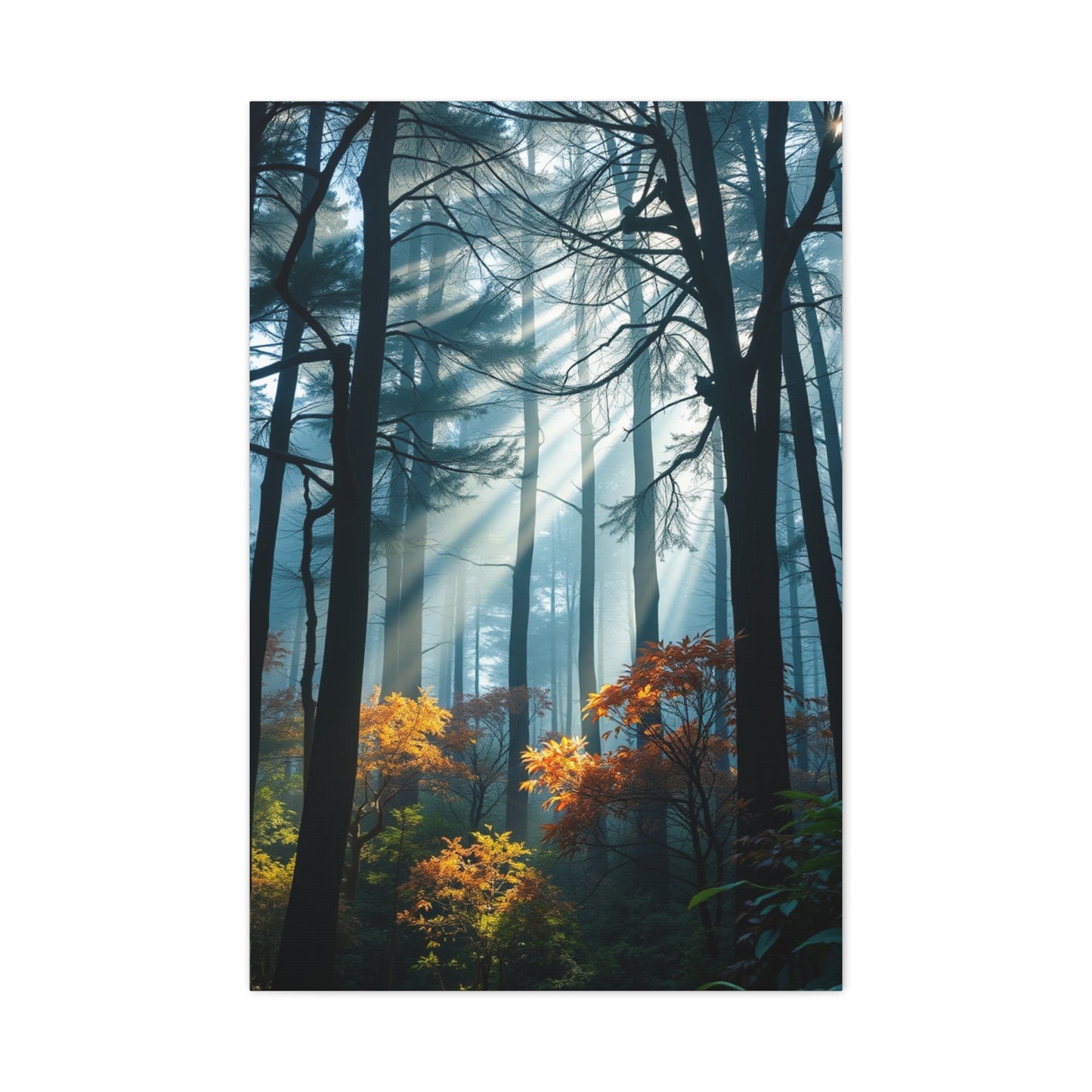 Grove Enchantment Wall Art Wall Art & Canvas Print