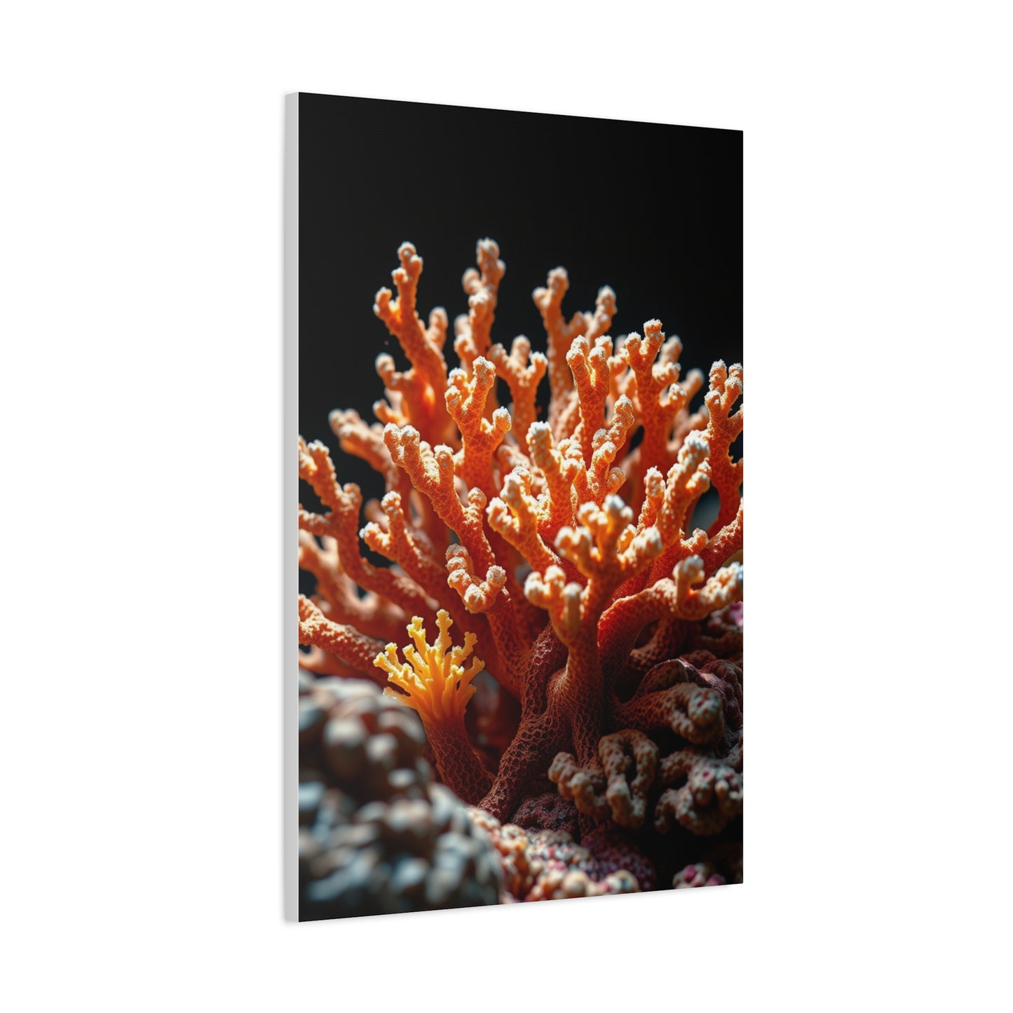 Coral Art Refined Canvas Wall Art & Canvas Print