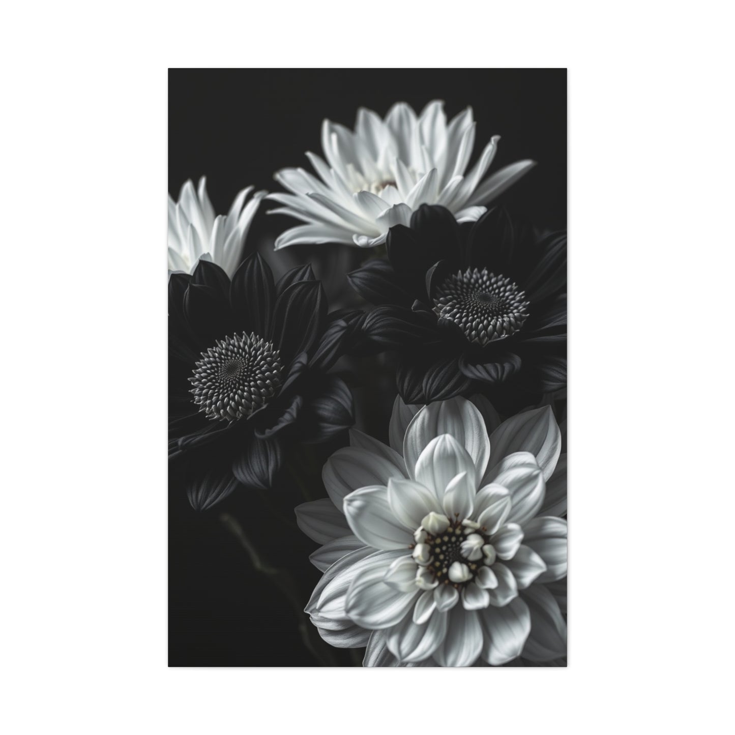 Monochrome Bloom Elegance Wall Art & Canvas Print