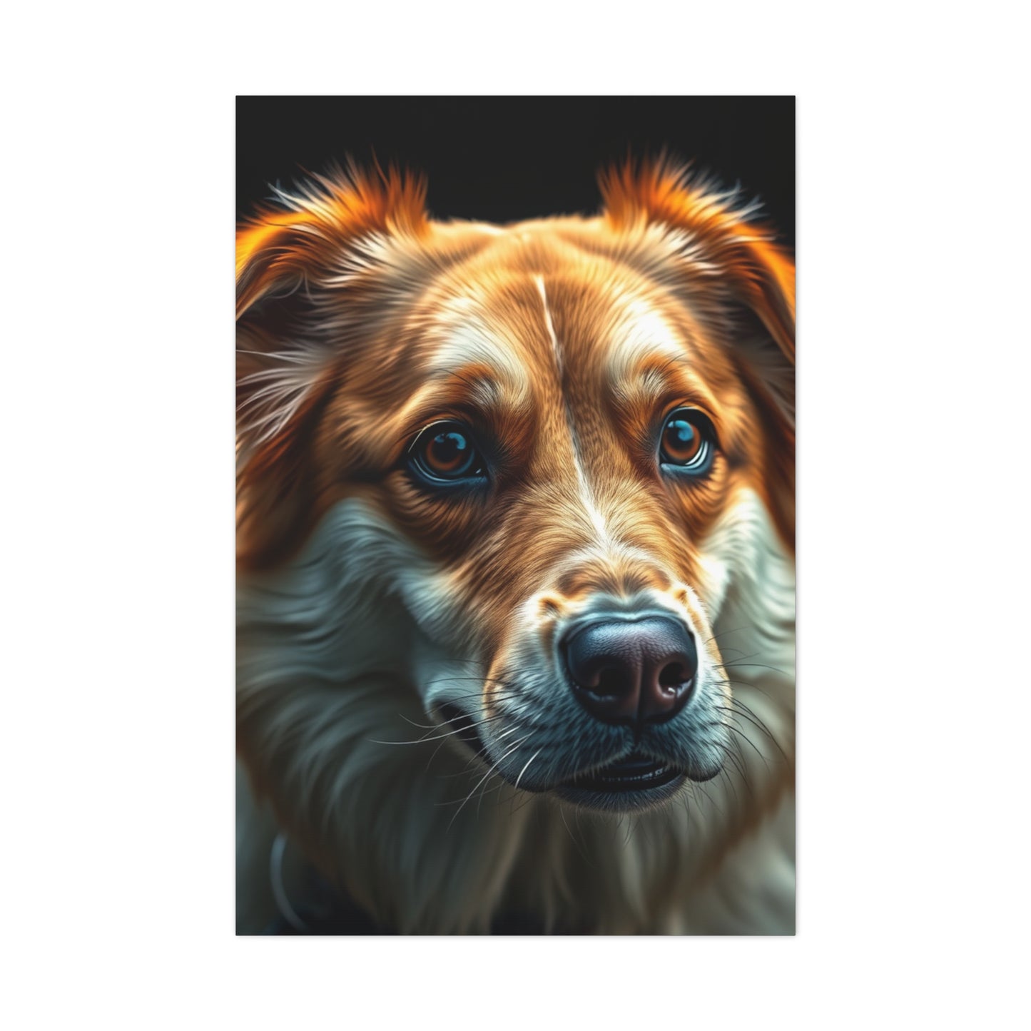 Exquisite Fido Fine Art Wall Art & Canvas Print