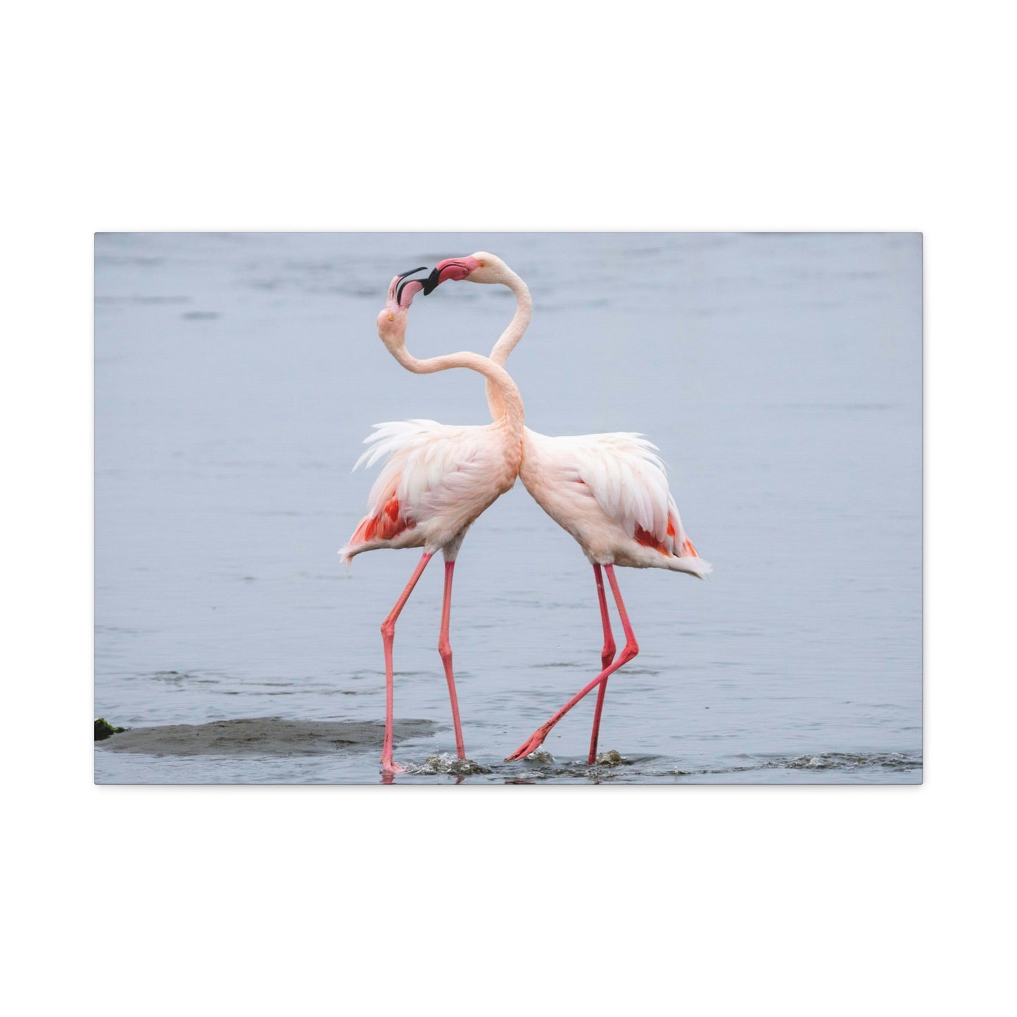 Pink Flamingo Love Wall Art & Canvas Prints