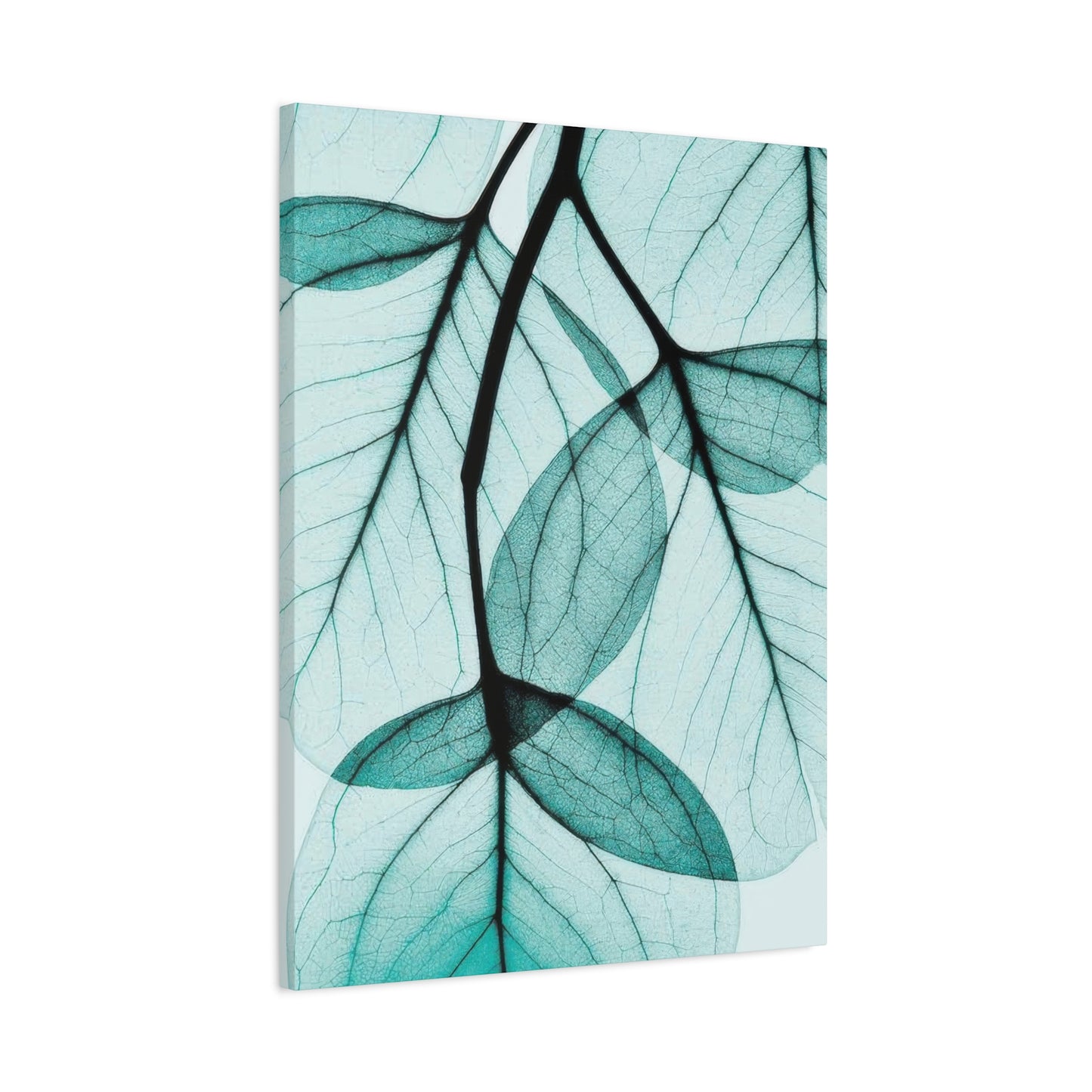 Eucalyptus Leaves Wall Art & Canvas Prints