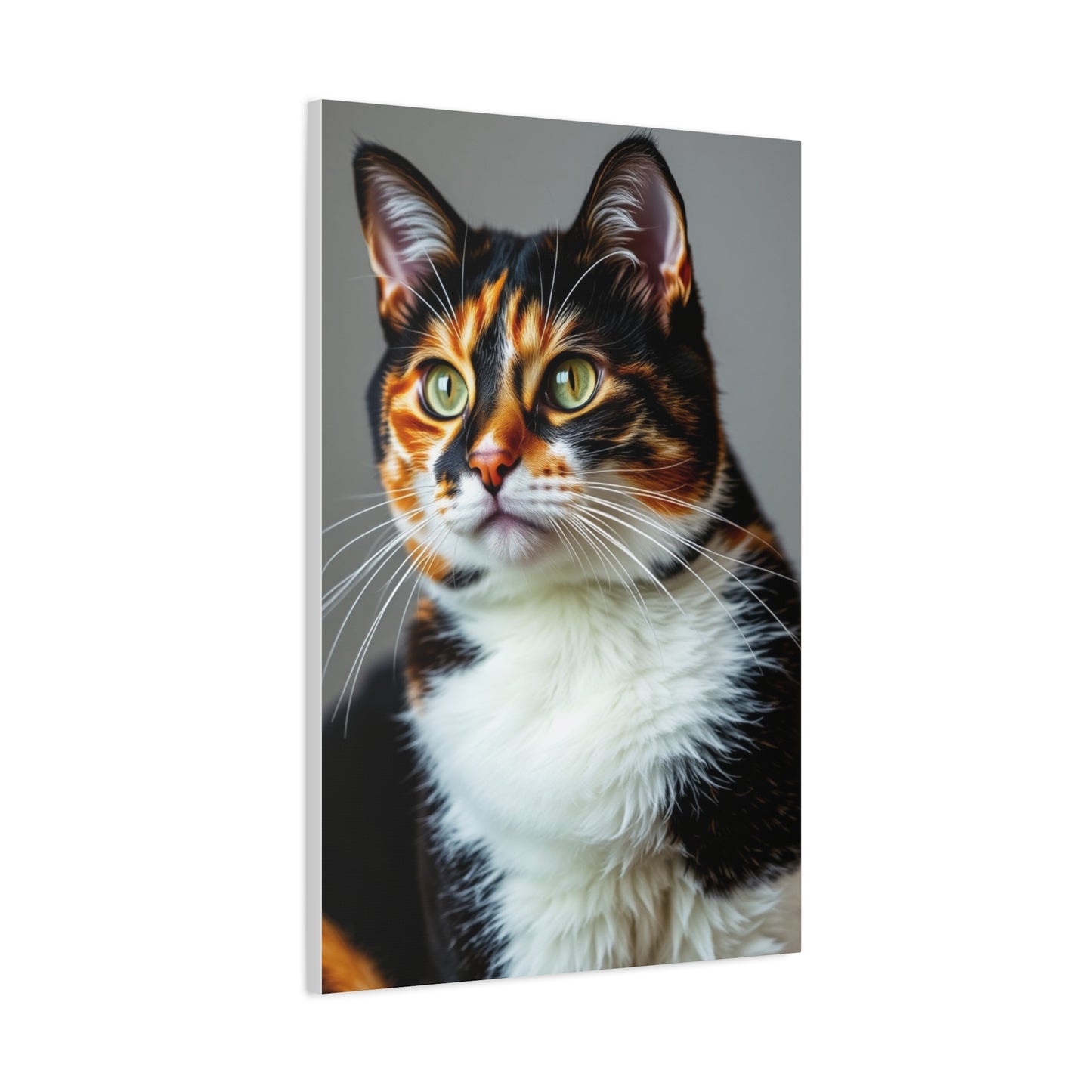 Calico Cat Art Supreme Gallery Wall Art & Canvas Print