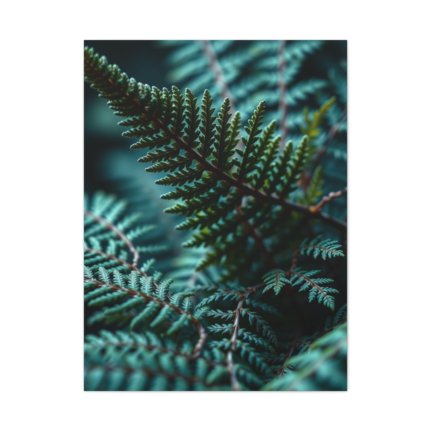 Collection Fern Art Art Wall Art & Canvas Print