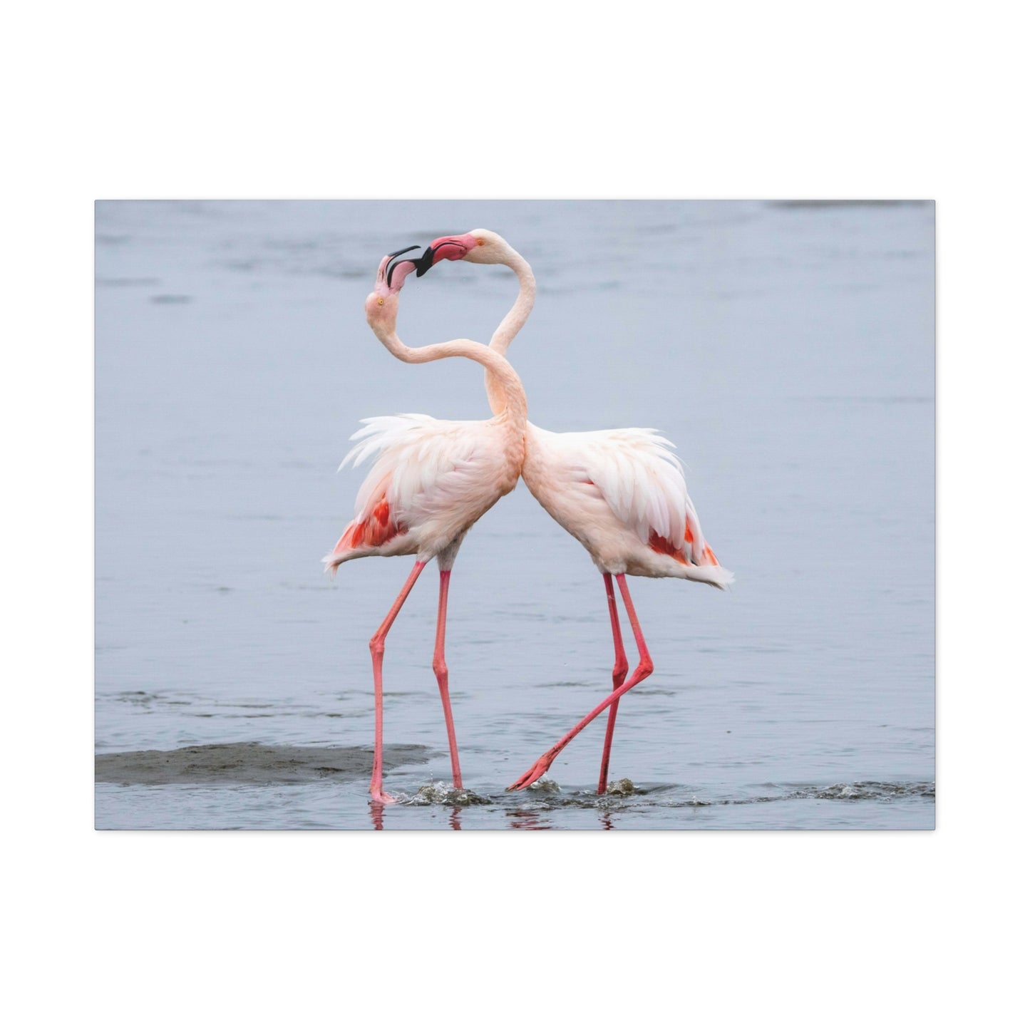Pink Flamingo Love Wall Art & Canvas Prints