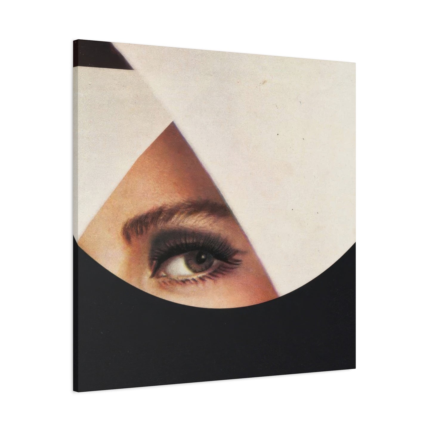 Frank Moth Mind Gazing Wall Art & Canvas Prints