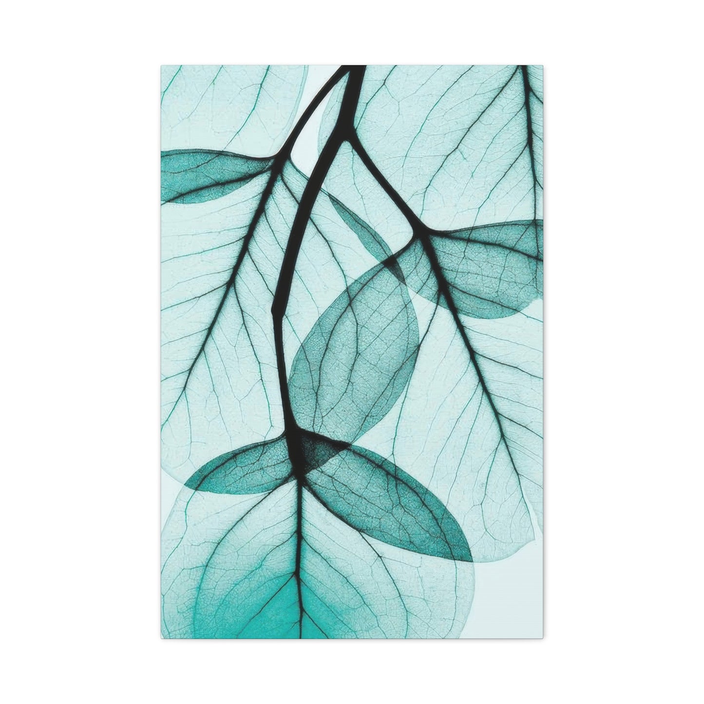 Eucalyptus Leaves Wall Art & Canvas Prints
