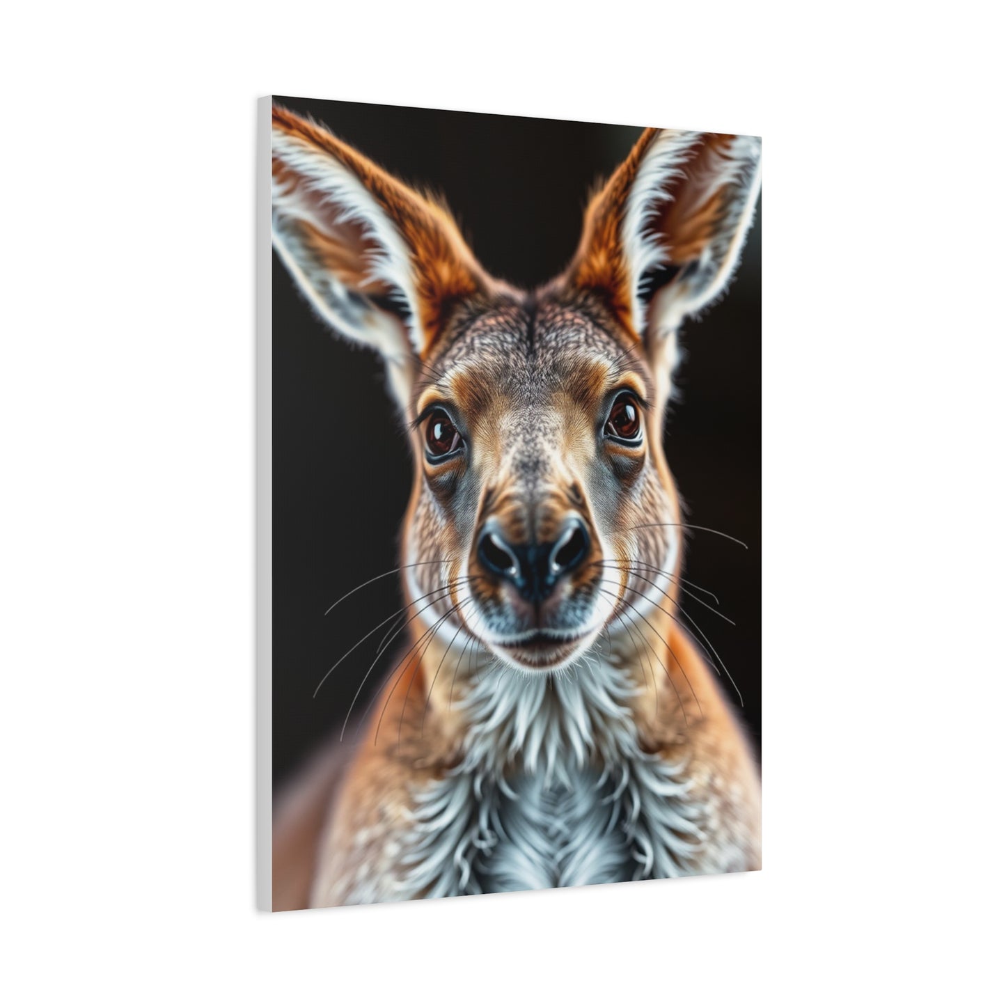 Kangaroo Art Supreme Gallery Wall Art & Canvas Print