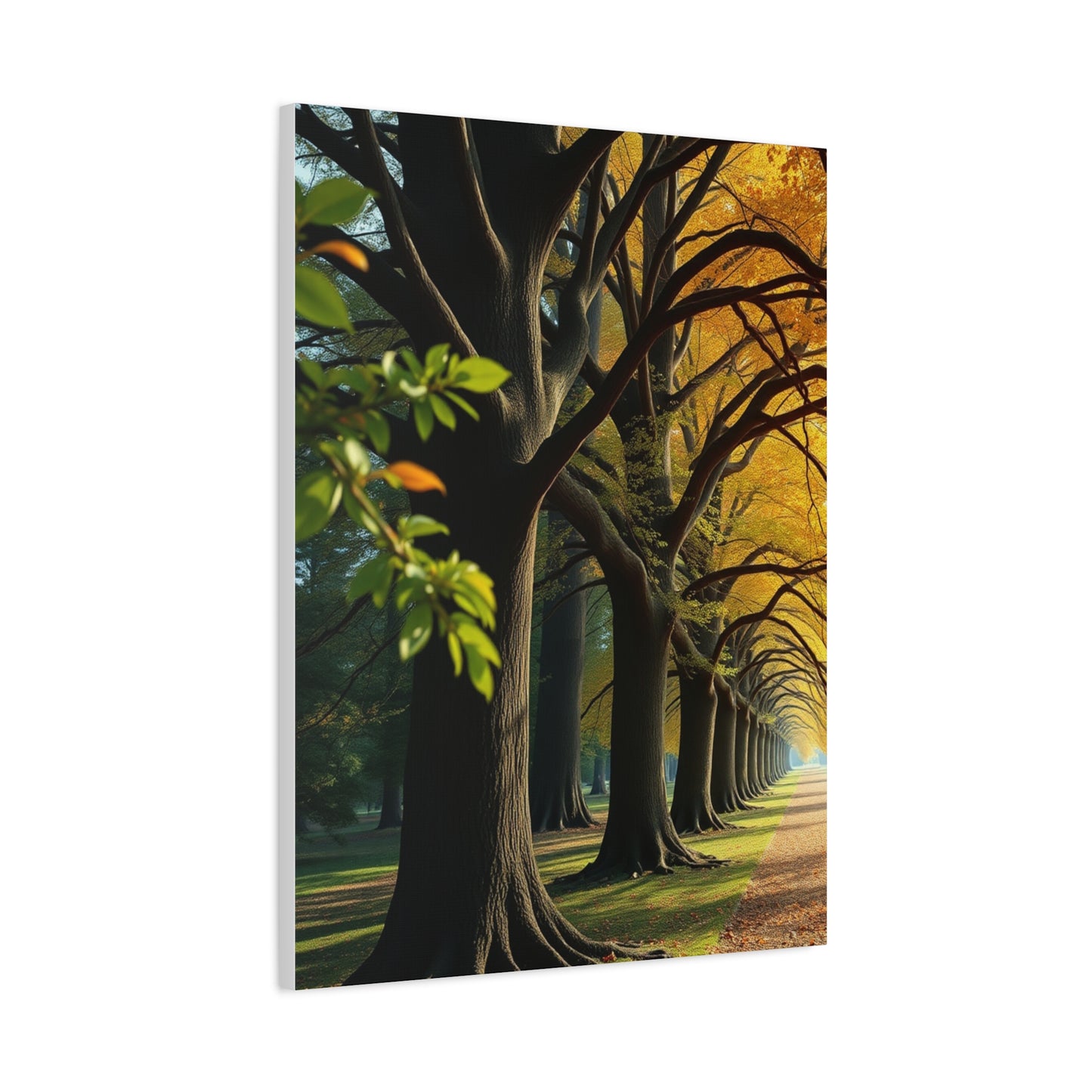 Supreme Trees Wall Art Collection Wall Art & Canvas Print