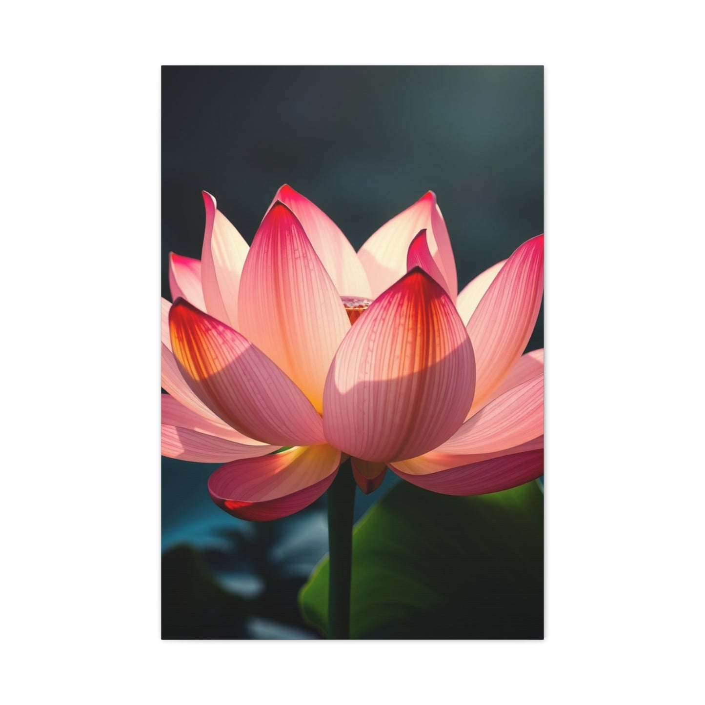 Elysian Petal Elegance wall art & canvas print