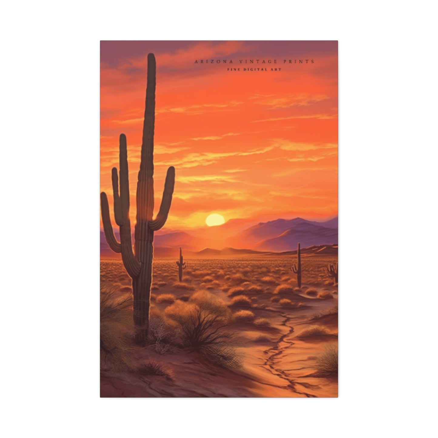 Cactus and Sunset in Desert Wall Art & Canvas Prints