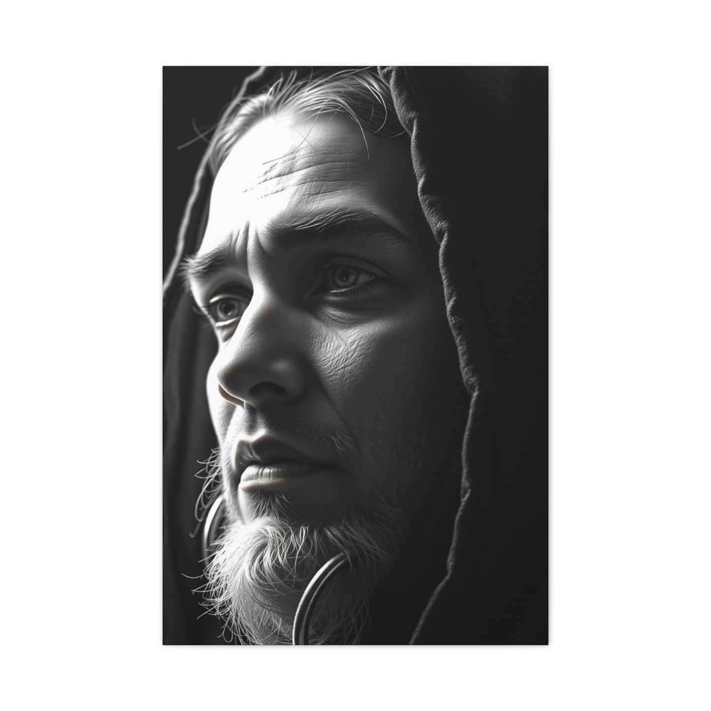 Exquisite Shade Canvas Wall Art & Canvas Print