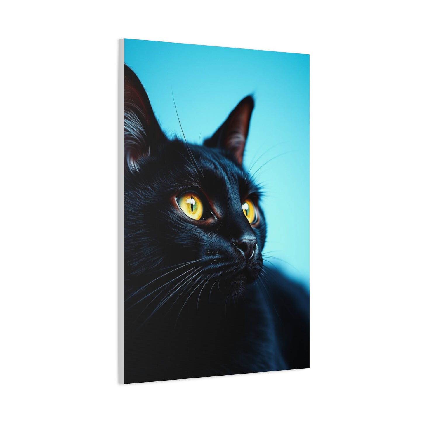 Supreme Black Cat Art Collection Wall Art & Canvas Print