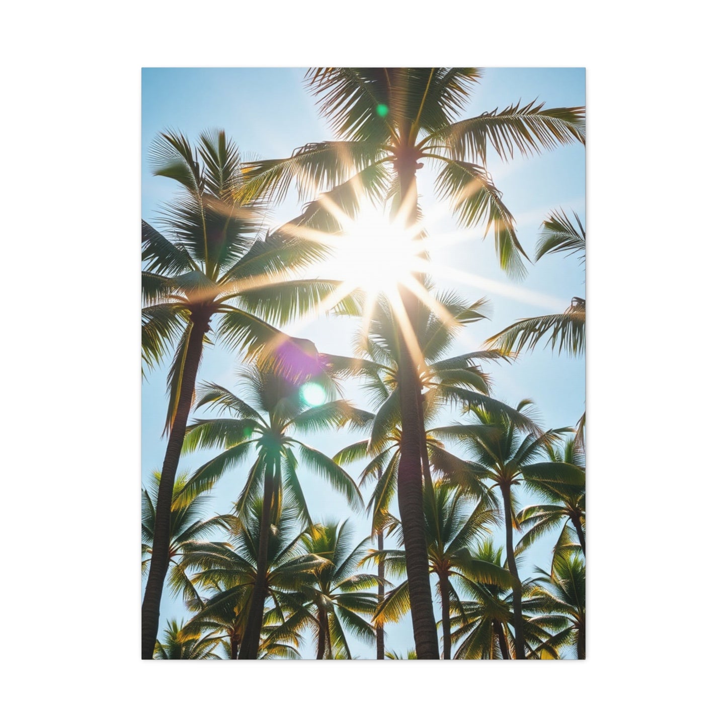 Exquisite Palm Panorama Wall Art & Canvas Print