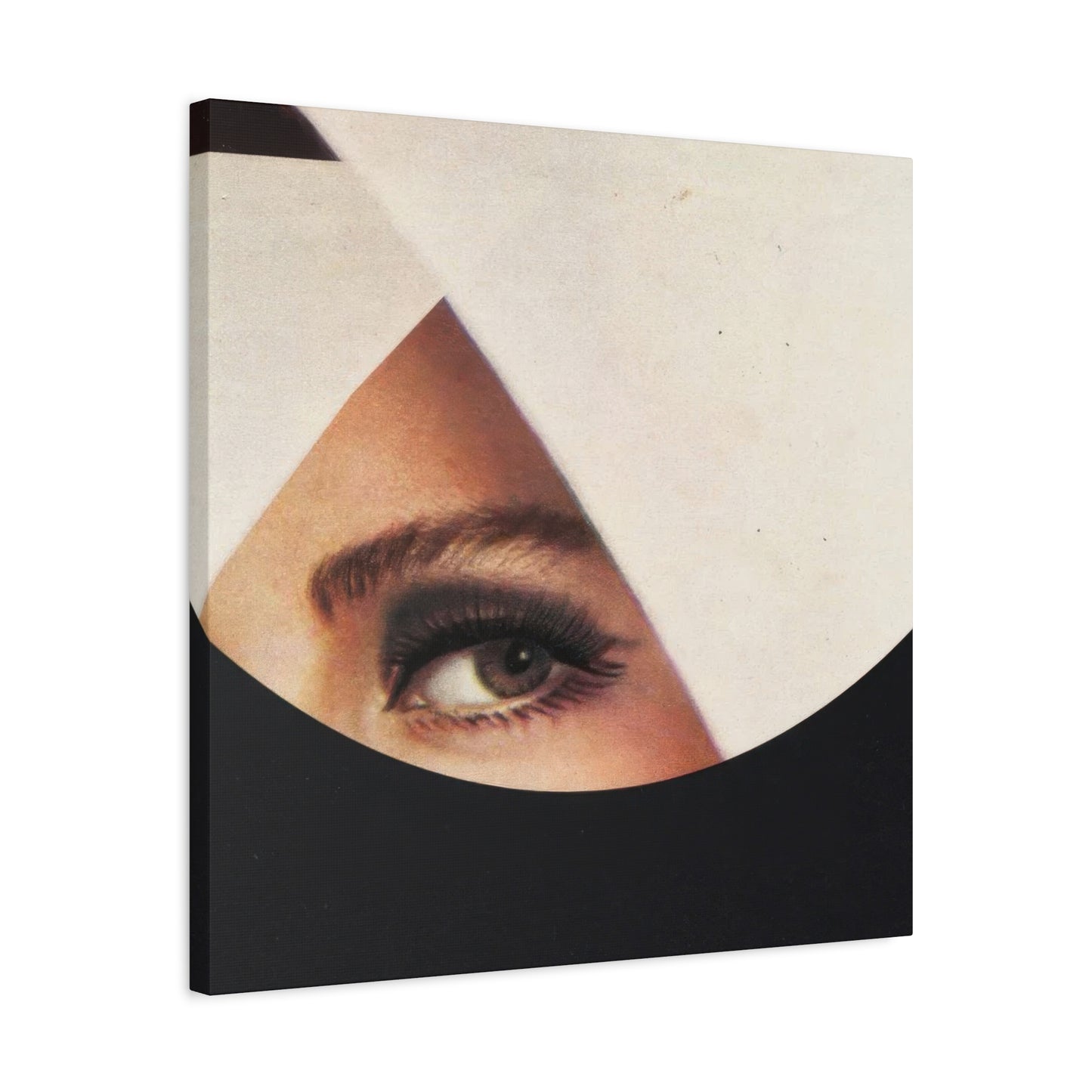 Frank Moth Mind Gazing Wall Art & Canvas Prints