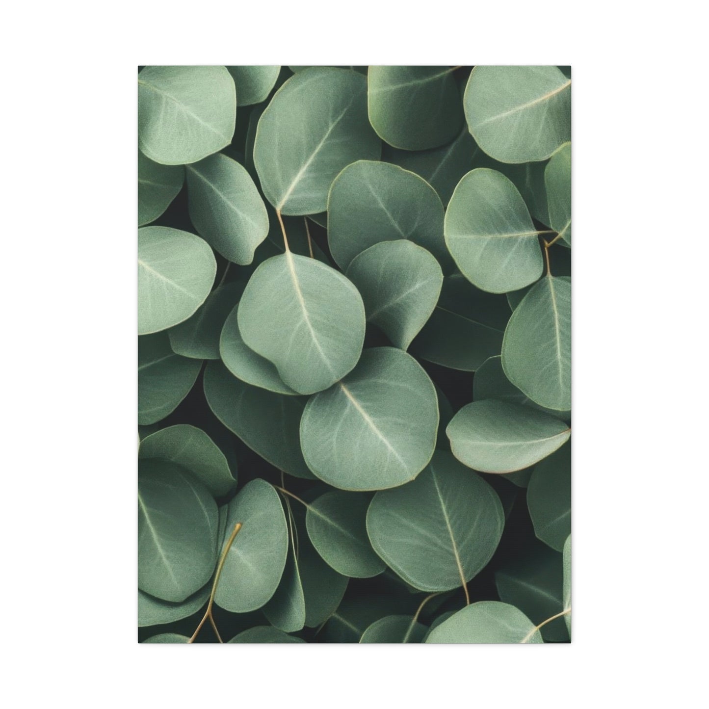 Eucalyptus Pattern 2 Wall Art & Canvas Prints