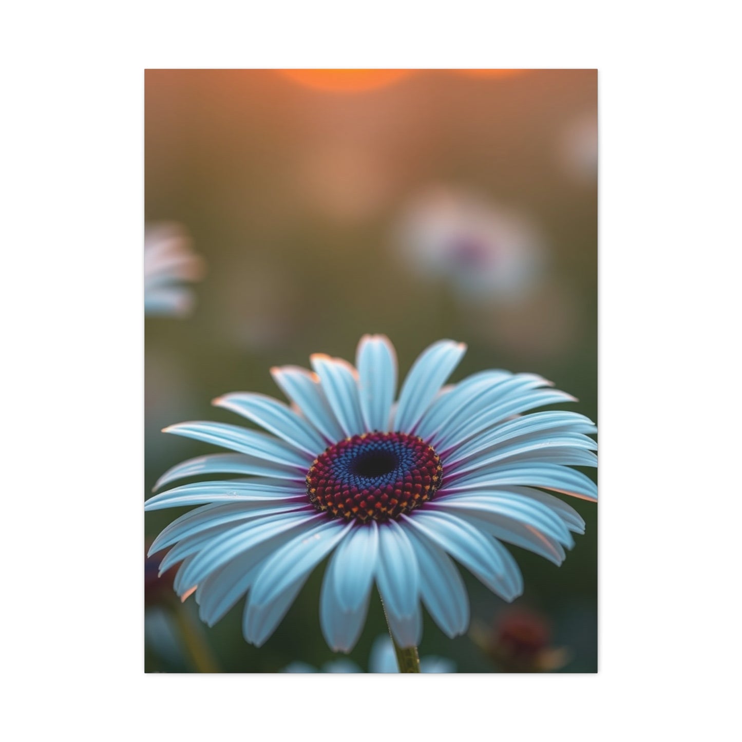 Exquisite Flora Impression