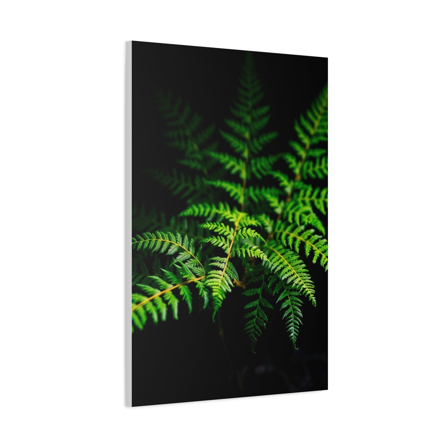 Supreme Fern Collection Wall Art & Canvas Print