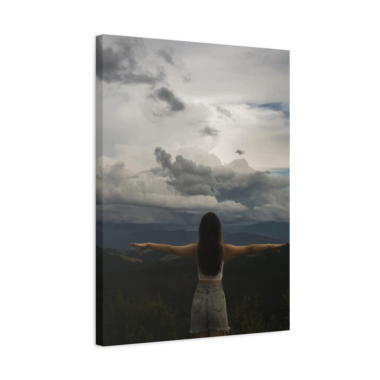Fly High Wall Art & Canvas Prints