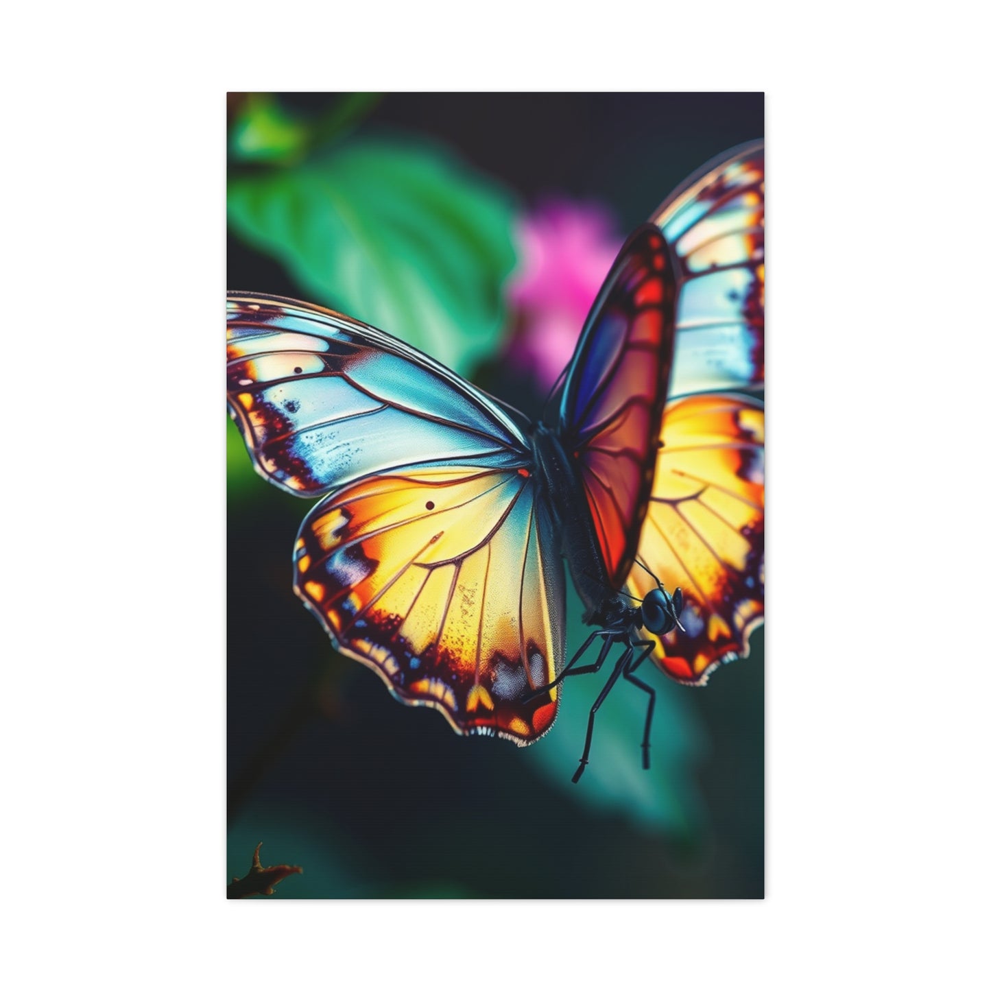 Exquisite Lepidoptera Panorama Wall Art & Canvas Print