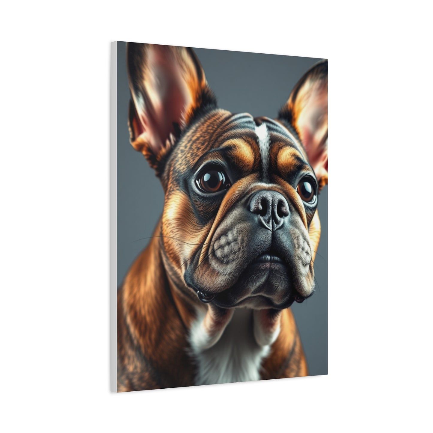 French Bulldog Art Supreme Gallery Wall Art & Canvas Print