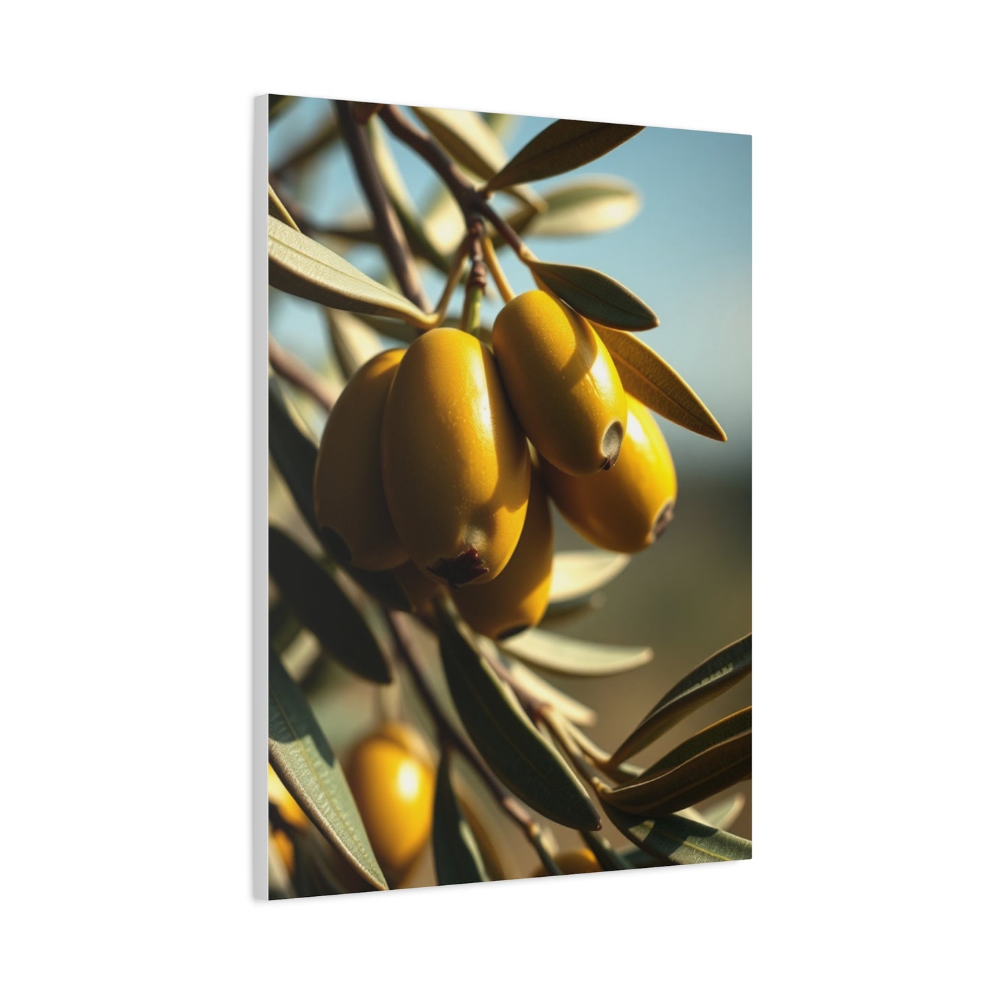 Emerald Serenity Showcase Wall Art & Canvas Print