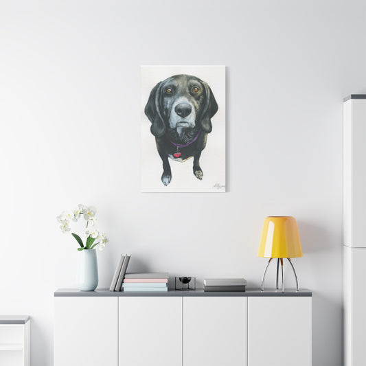 Grace Pop Black Dog Wall Art & Canvas Prints