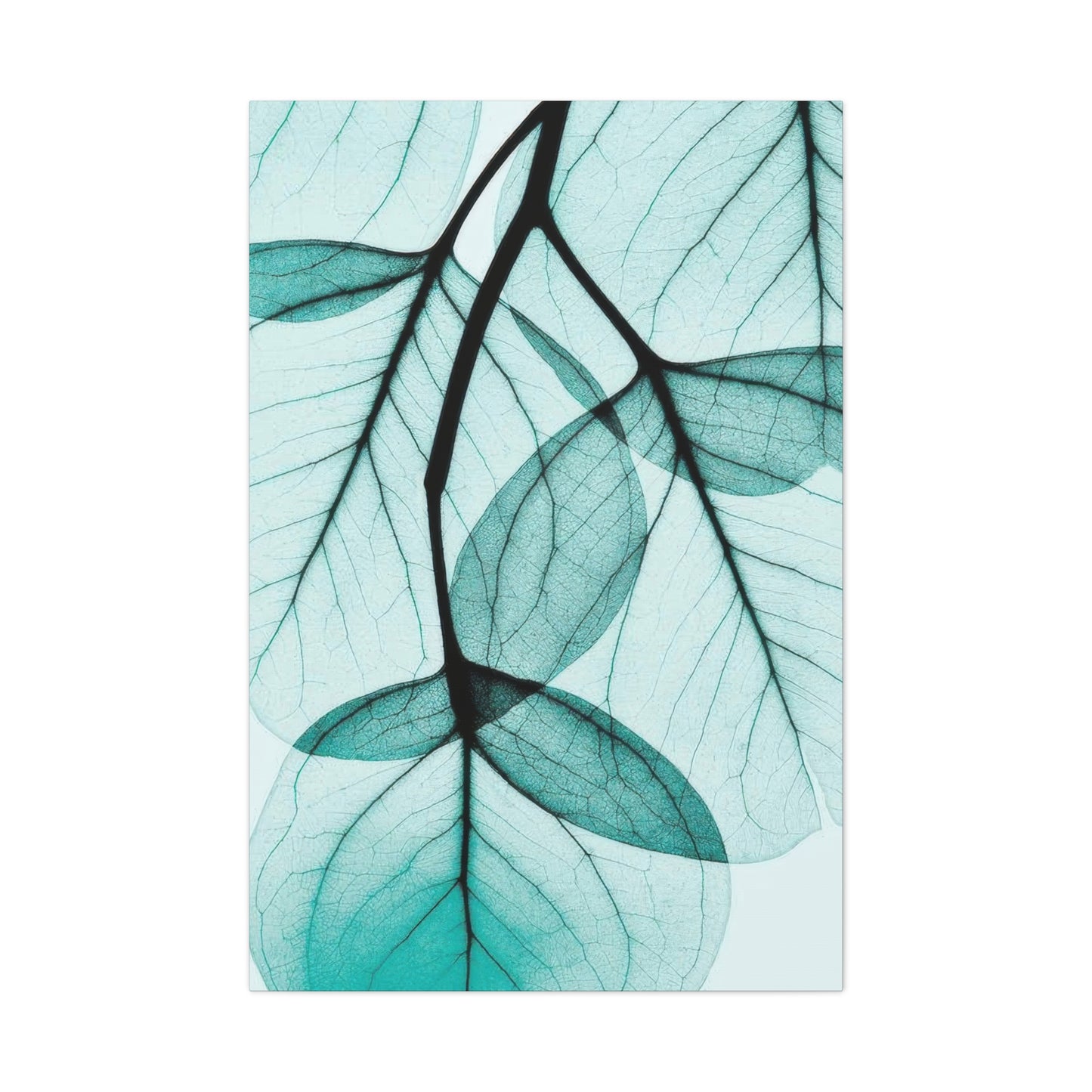 Eucalyptus Leaves Wall Art & Canvas Prints