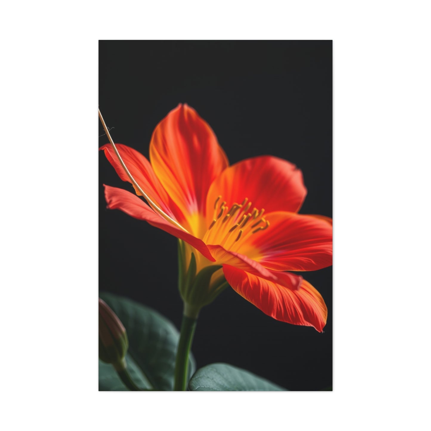 Faunal Elegance Artistry Wall Art & Canvas Print