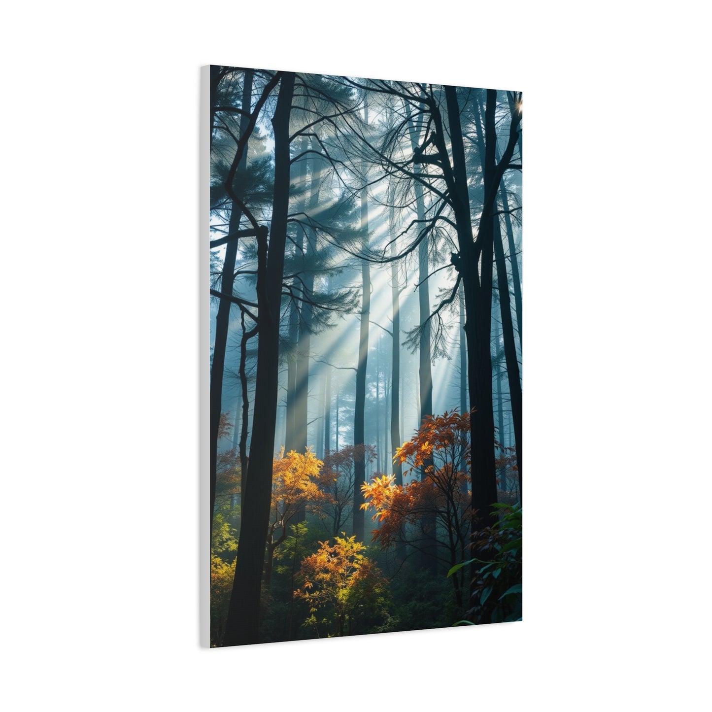 Grove Enchantment Wall Art Wall Art & Canvas Print