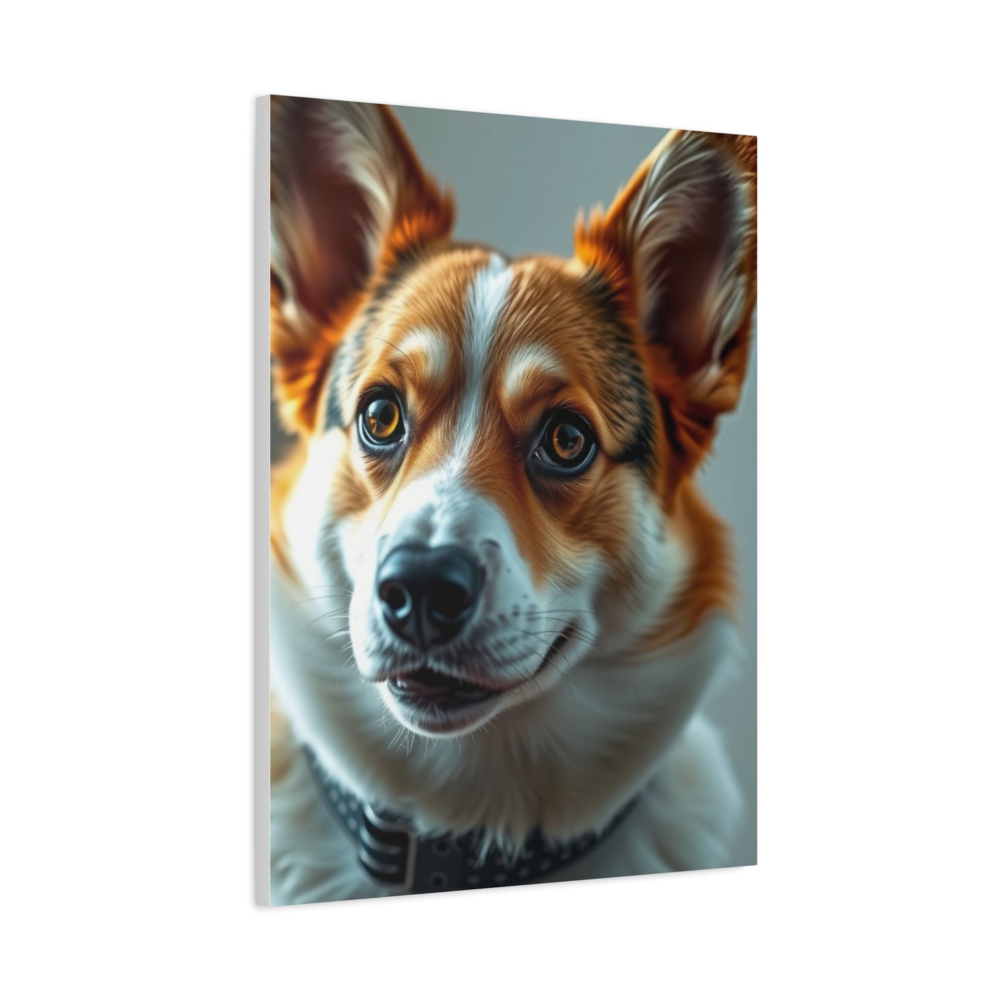 Corgi Dog Art Luxury Canvas Wall Art & Canvas Print