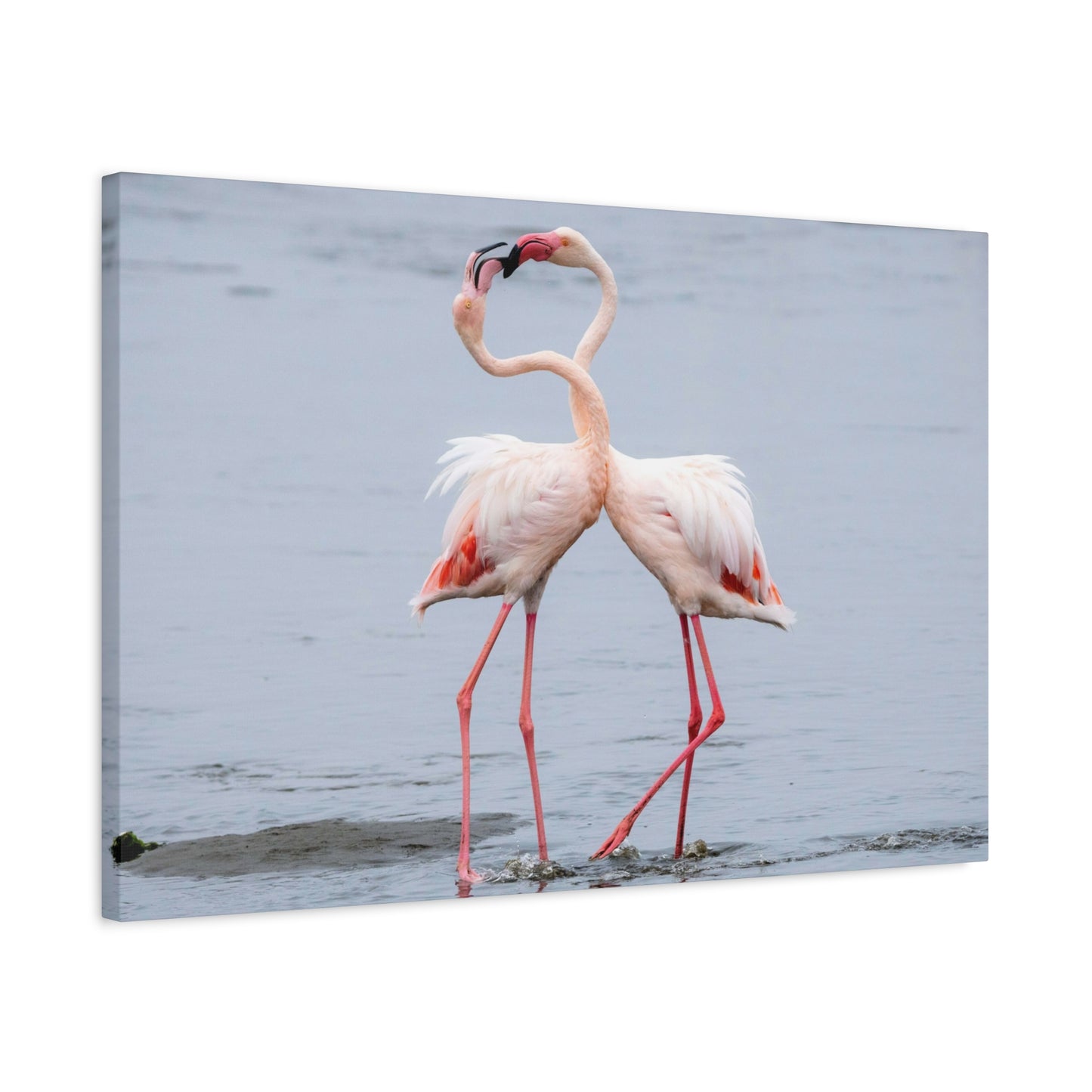 Pink Flamingo Love Wall Art & Canvas Prints