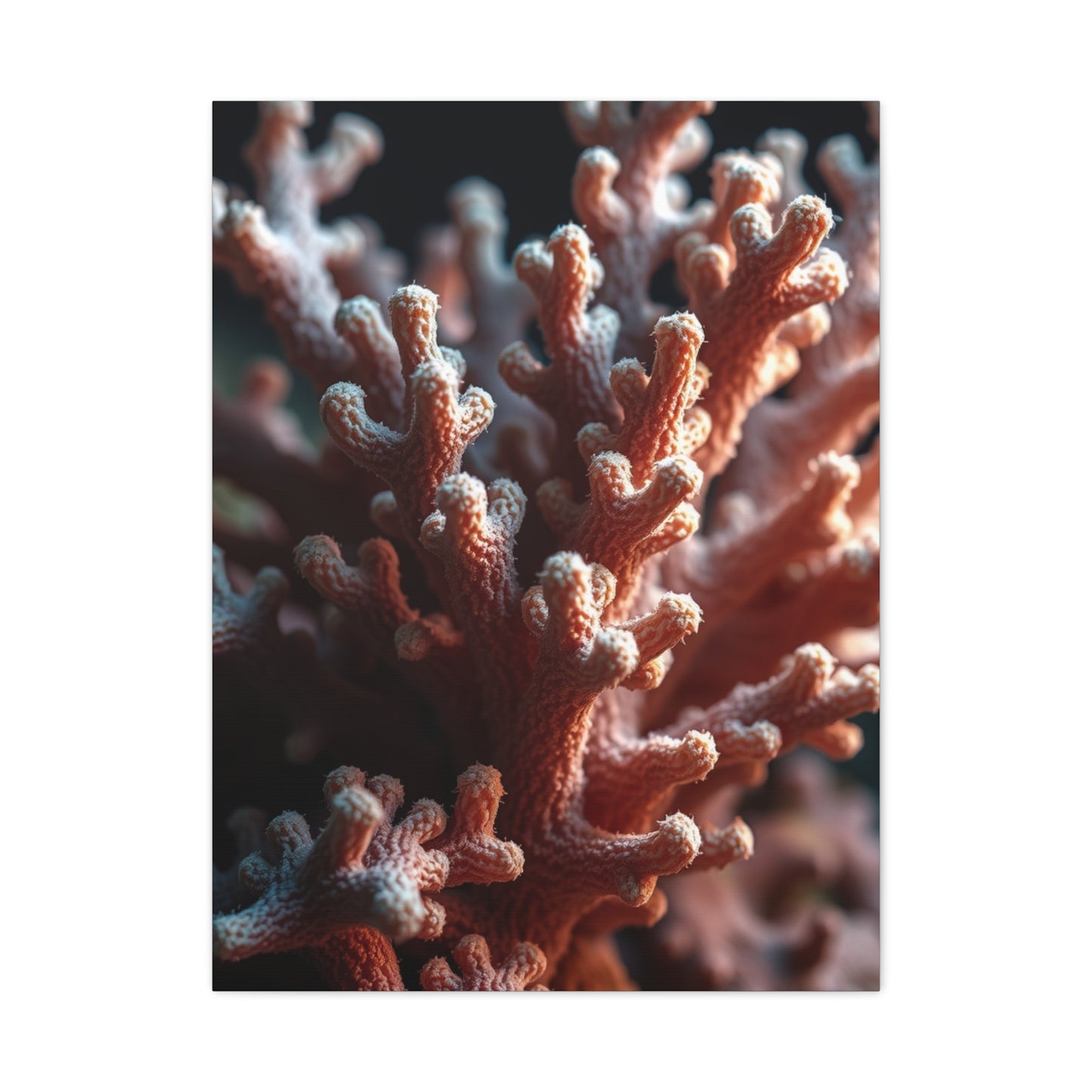 Coral Art Luxury Canvas Wall Art & Canvas Print