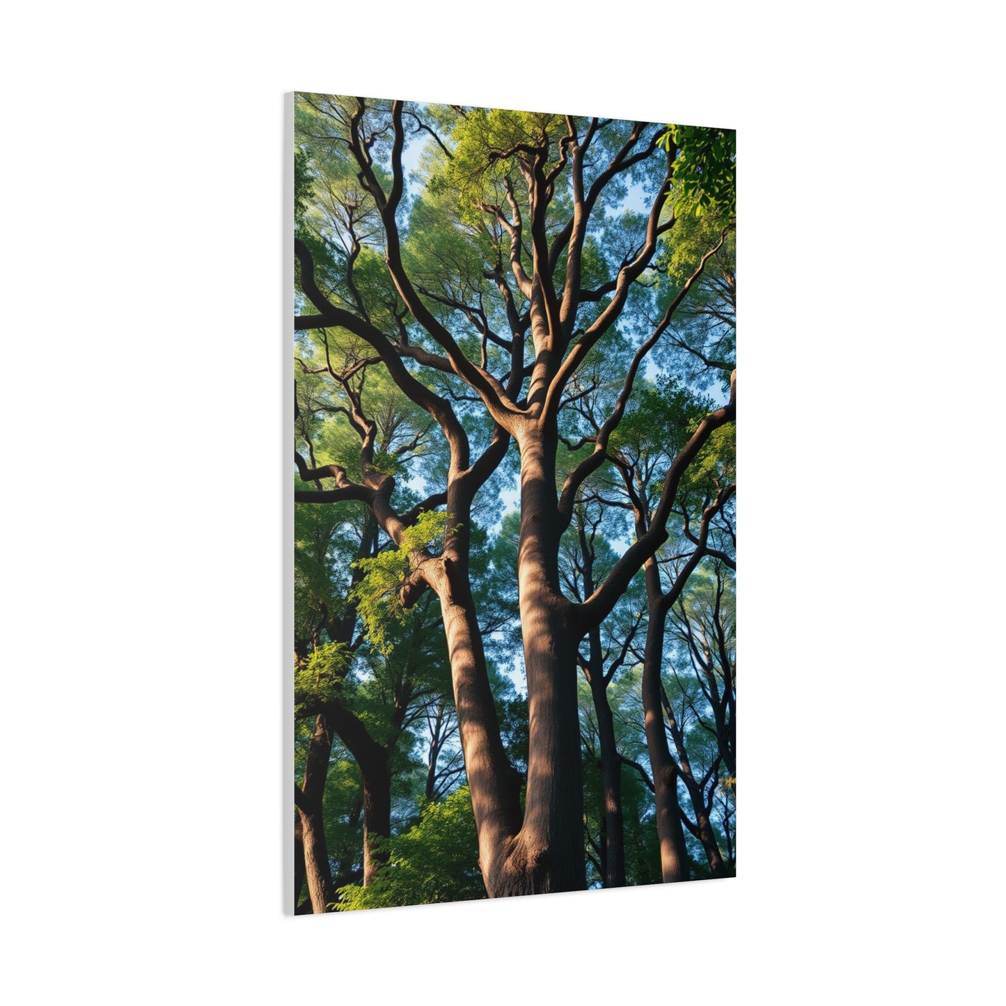 Gilded Forest Impression Wall Art & Canvas Print
